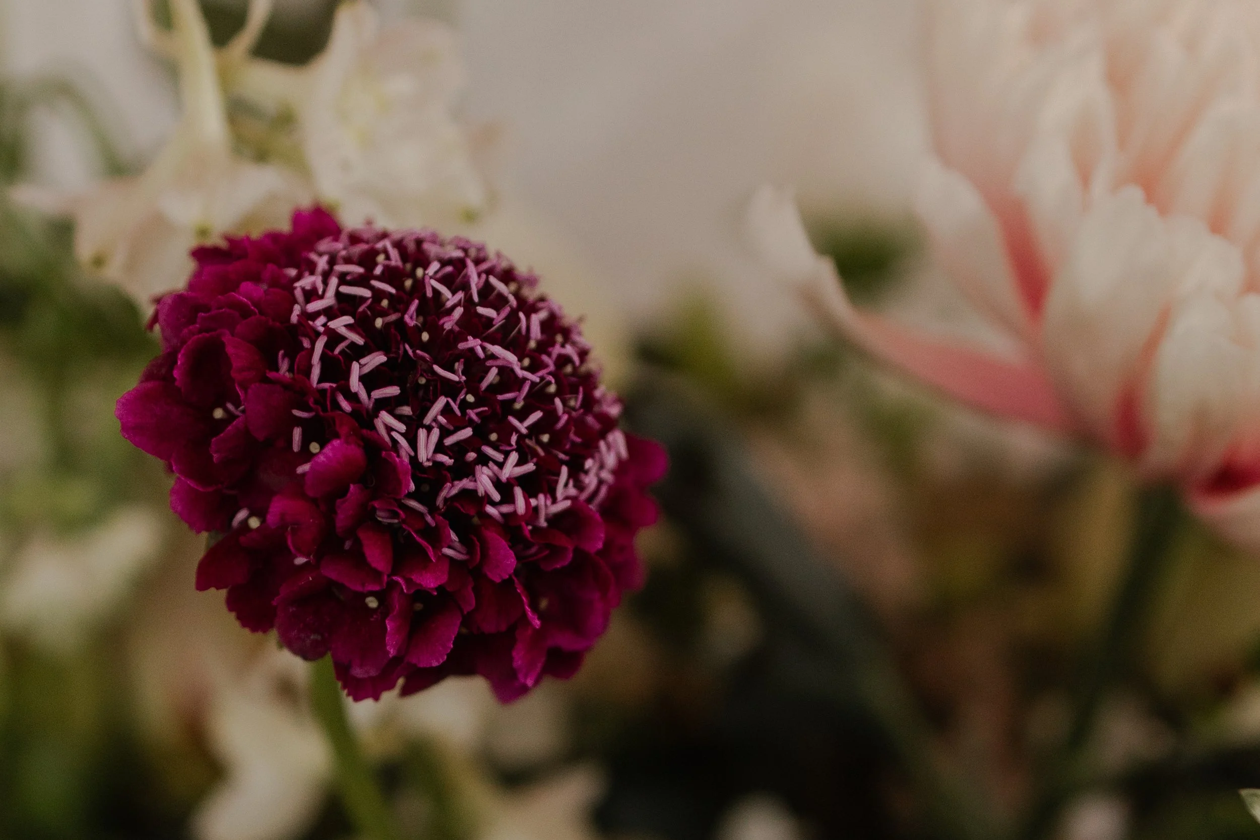 Laura & Philipp Standesamt by AM-460.jpg