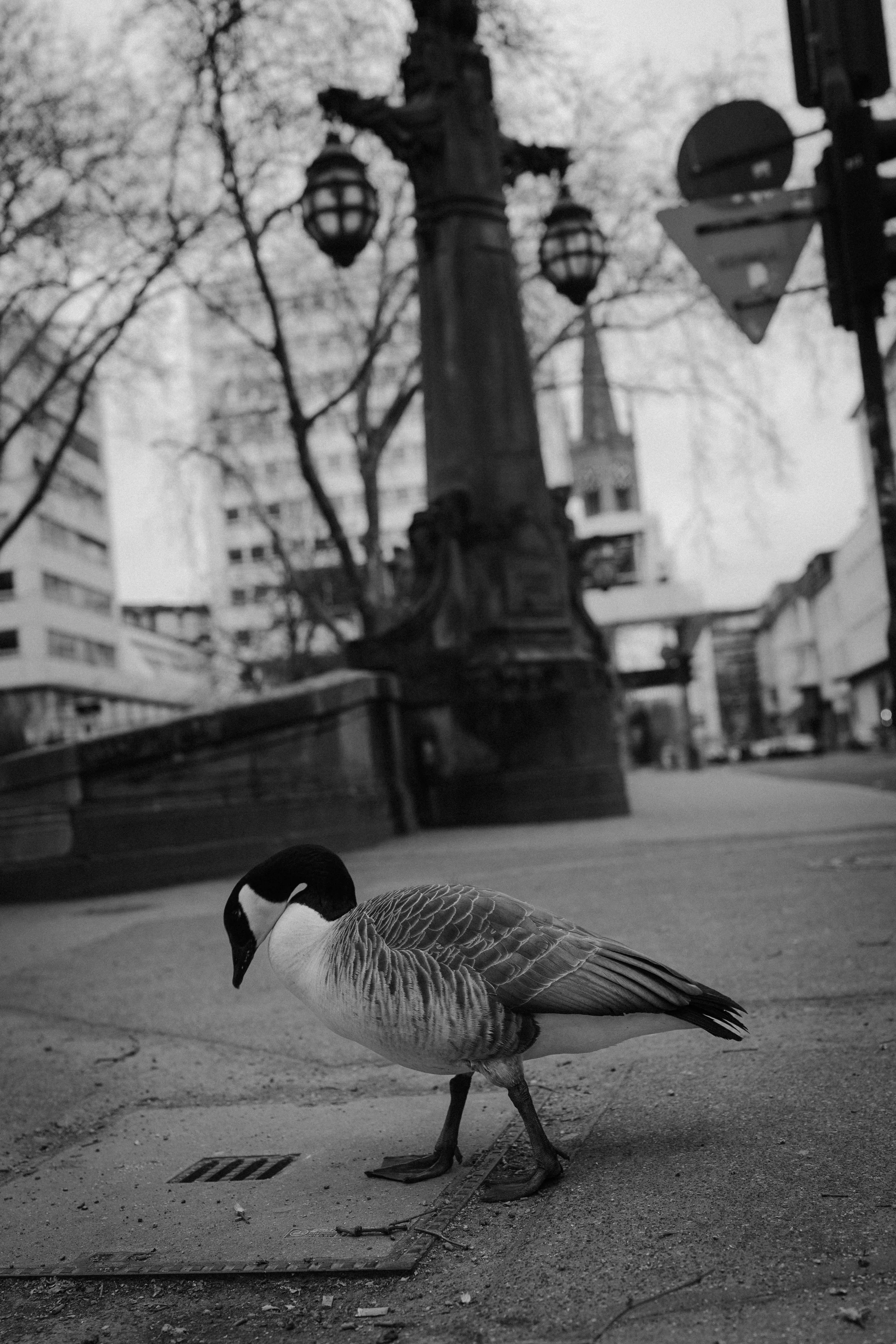 Jill & Jakob by AM -8.jpg