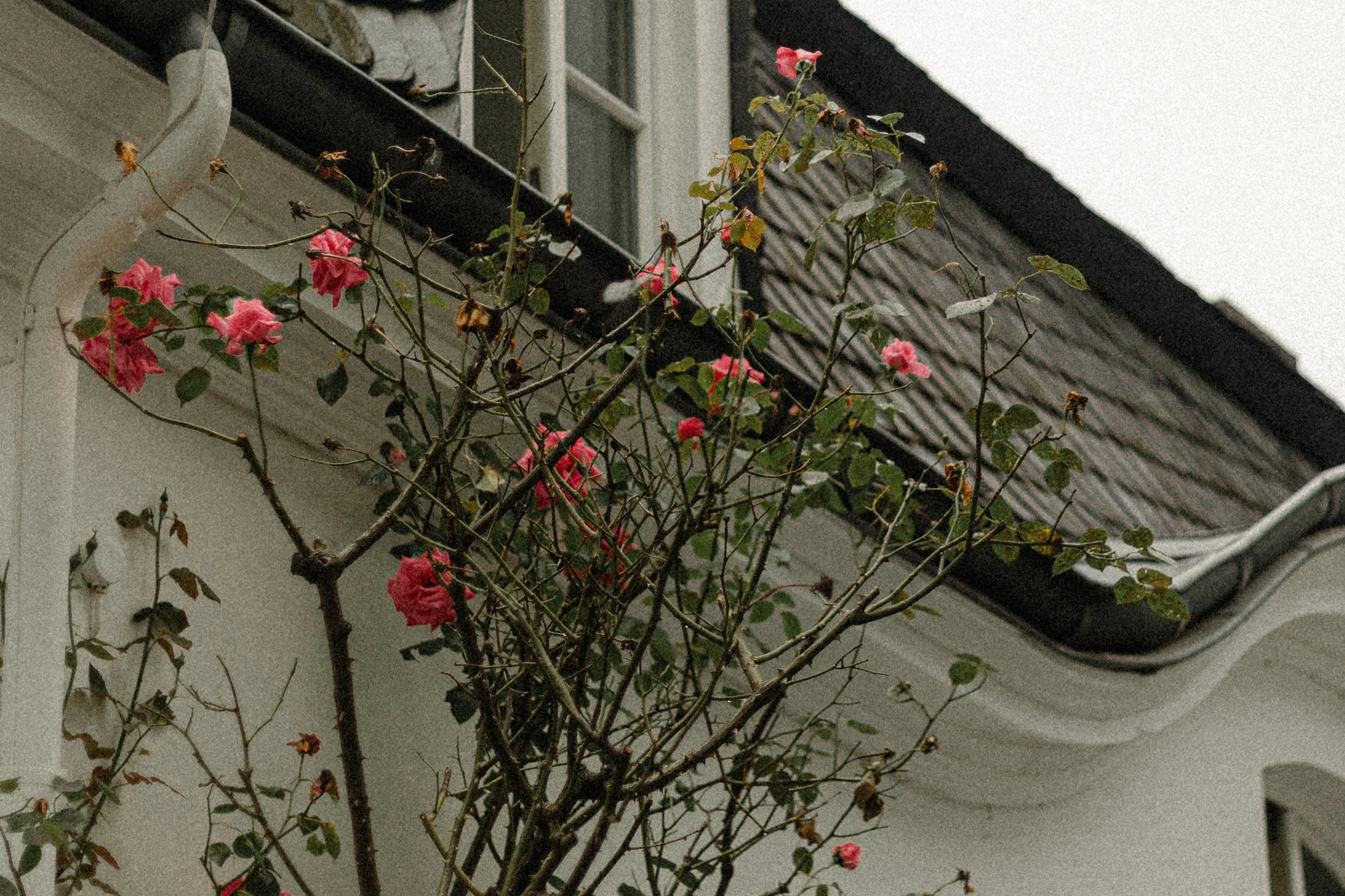 Laura & Philipp Standesamt by AM-2.jpg