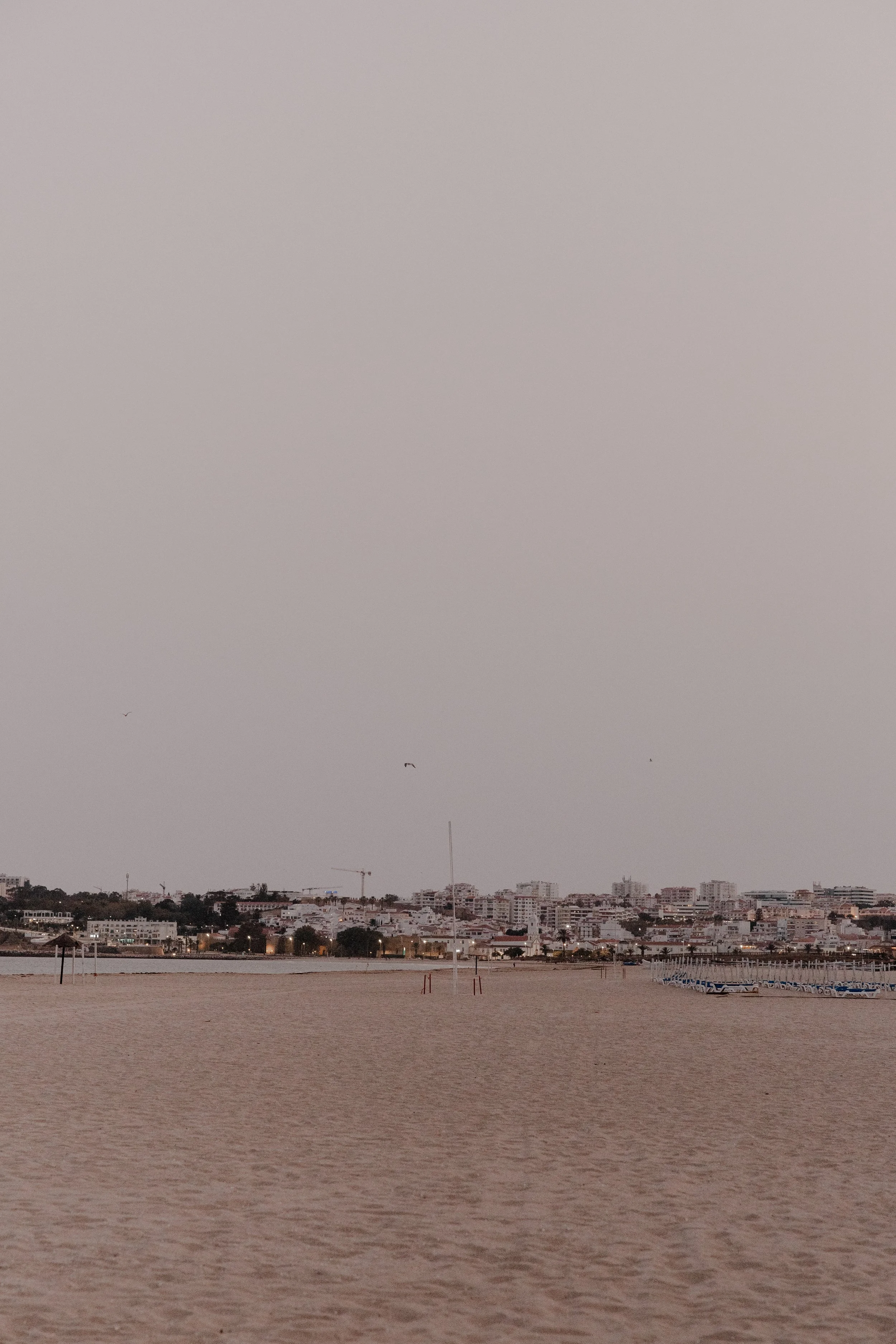 Jennie & Daniel freie Trauung by AM-641.jpg