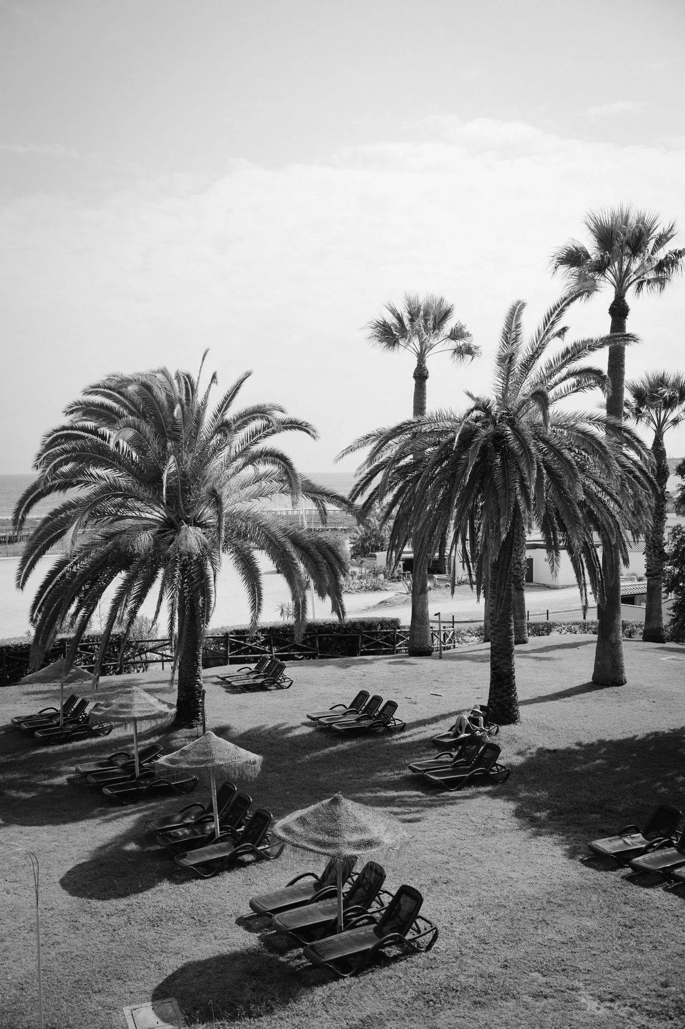 destination-palmengarten-198.jpg