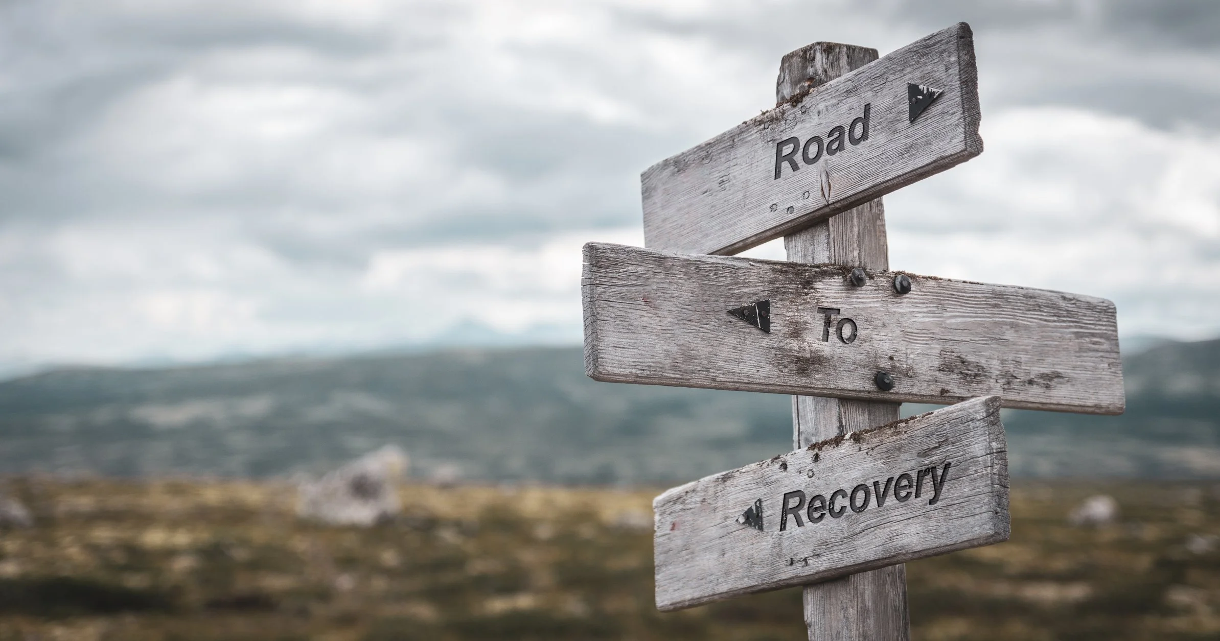 A weathered wooden signpost pointing to 'Road', 'To', and 'Recovery', set against a cloudy sky and a landscape with hills and rocks.