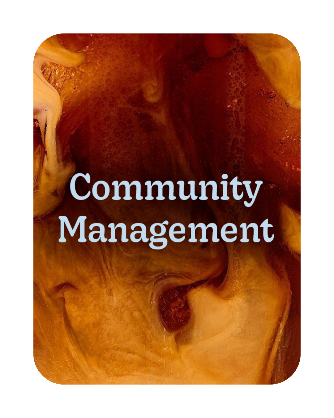 Community Management - Studio Confidence Lille