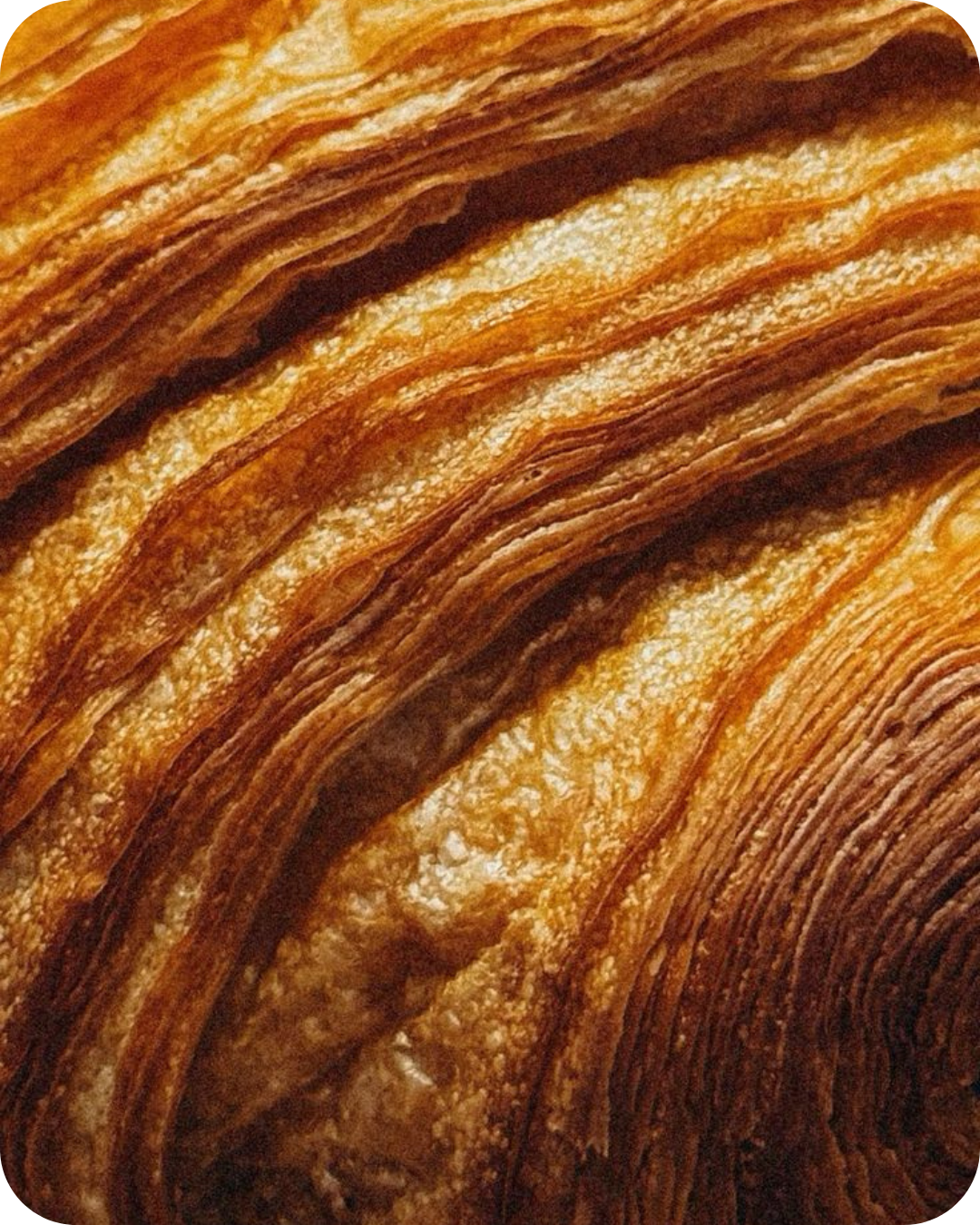 Studio confidence - Community Management, Lille