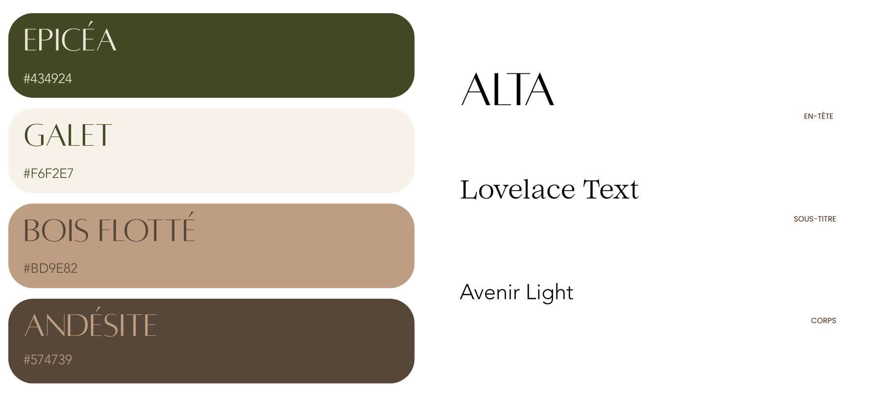 Les couleurs 
La palette de couleurs s’articule autour de tons naturels et profondément apaisants : Vert Épicéa, Beige Galet, Bois Flotté et Antésite. Ensemble, ces nuances créent une atmosphère douce et organique, inspirée de la forêt, de la lumière