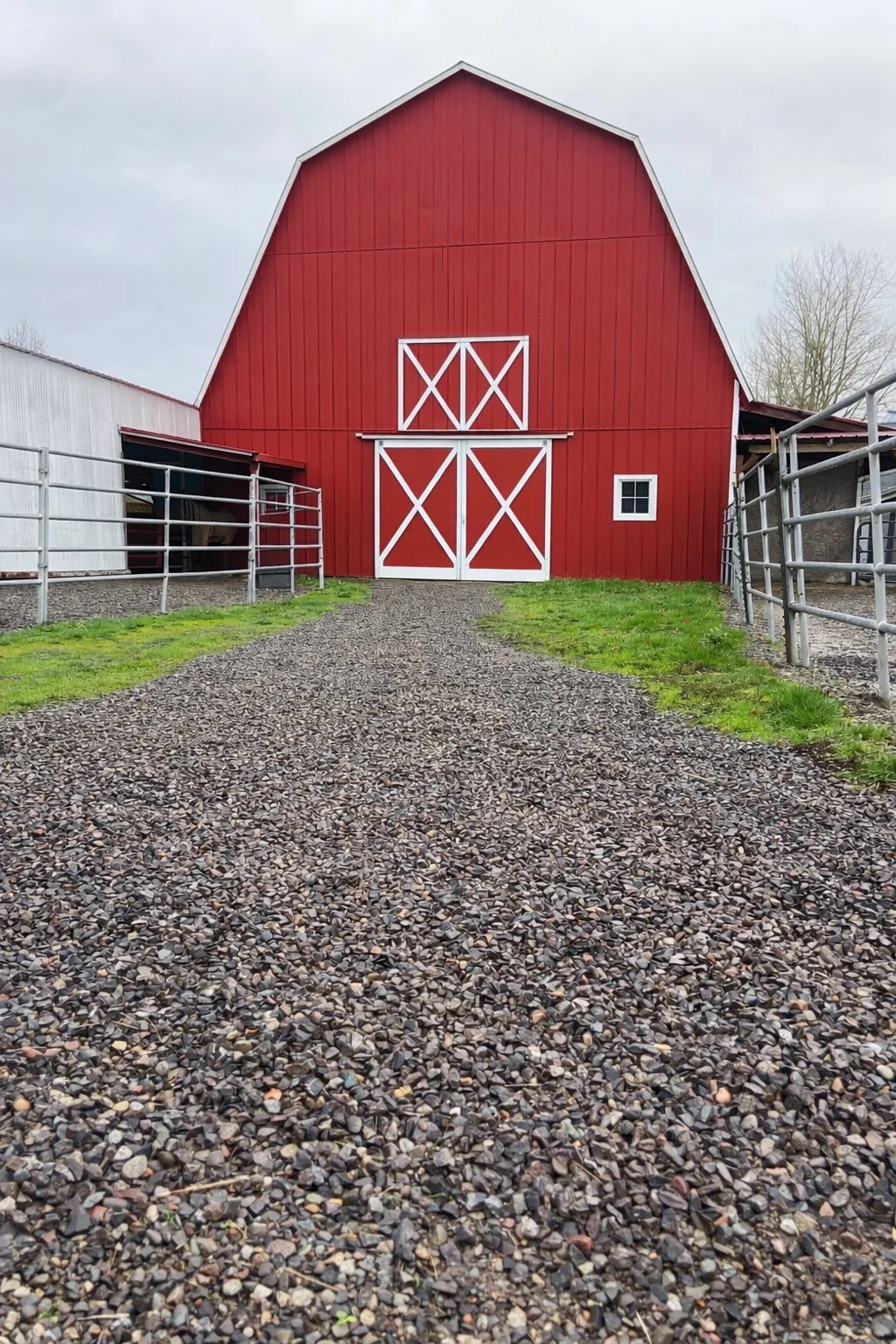 Red barn with white barn doors Enumclaw, gravel driveway, gray sky, and green grass on sides.