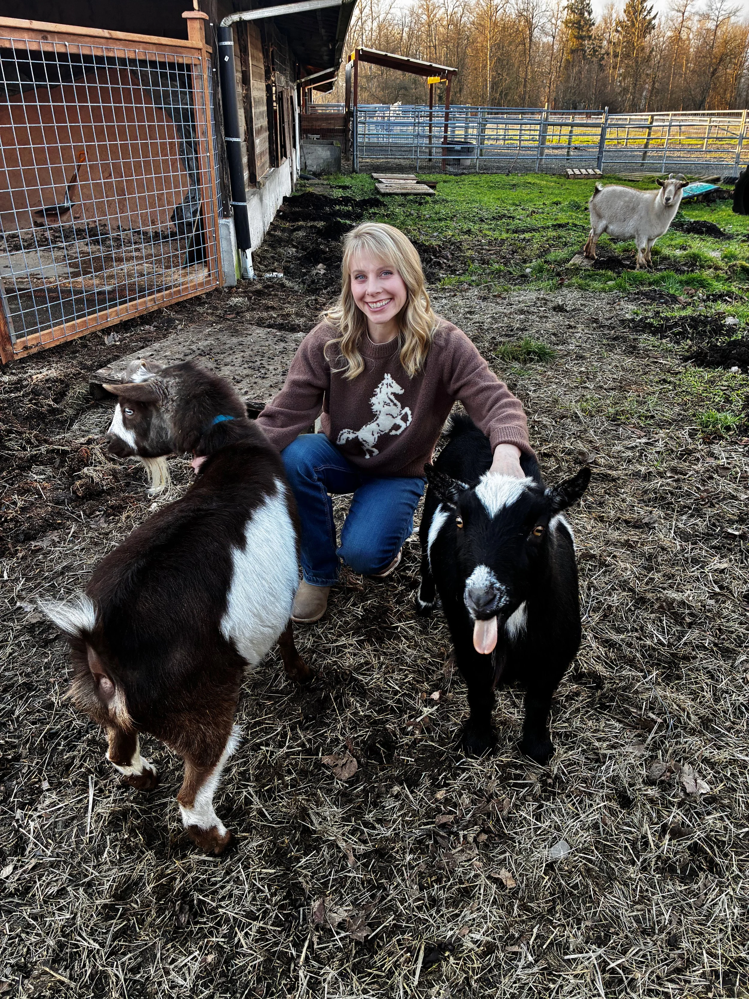A smiling woman in Enumclaw kneeling on a farm with goats, two black and white in the foreground, one with its tongue out, and a background of a farm building, fencing, and another goat on the grass.