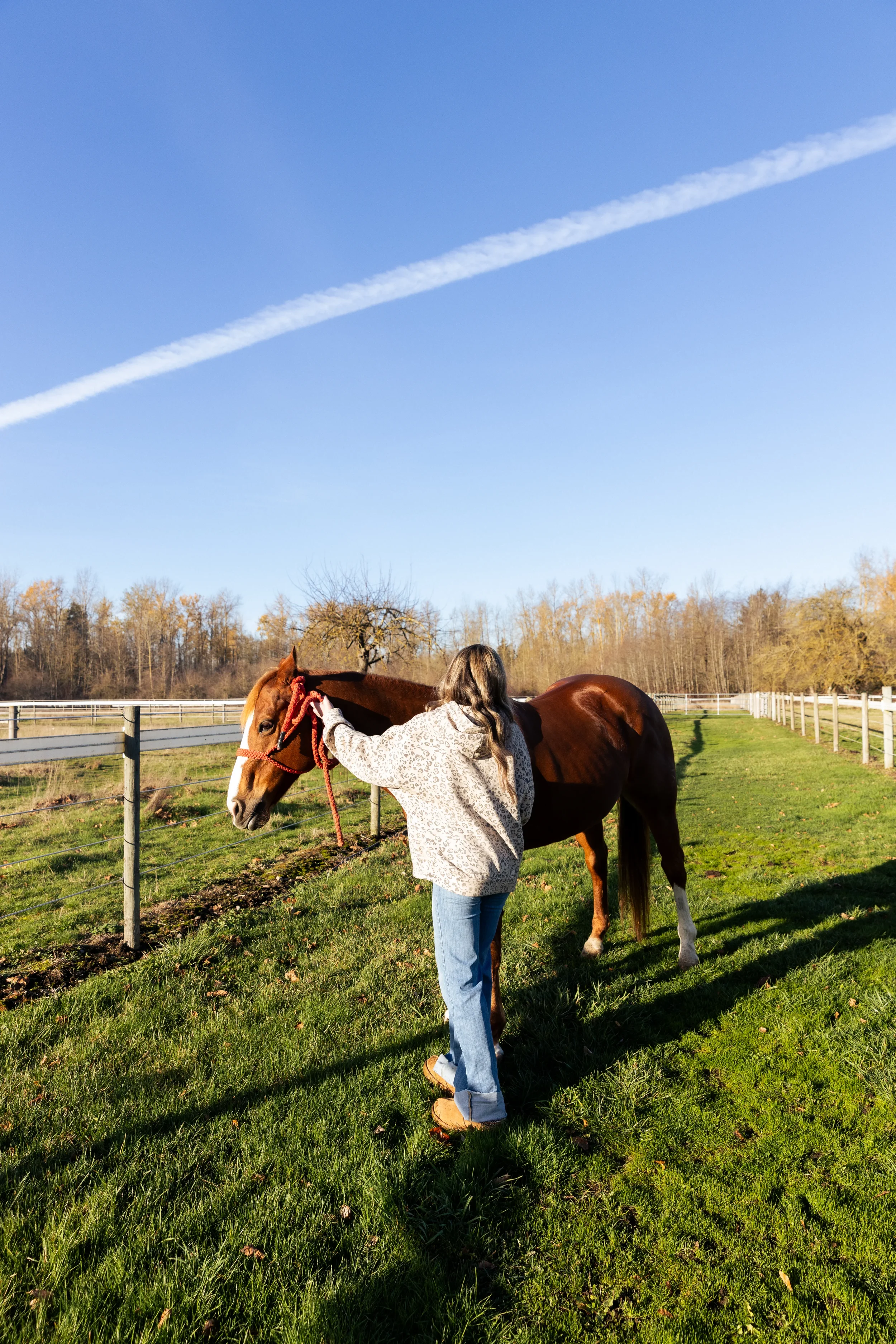 A woman adjusting the bridle of a brown and white horse in a grassy field on a clear day.