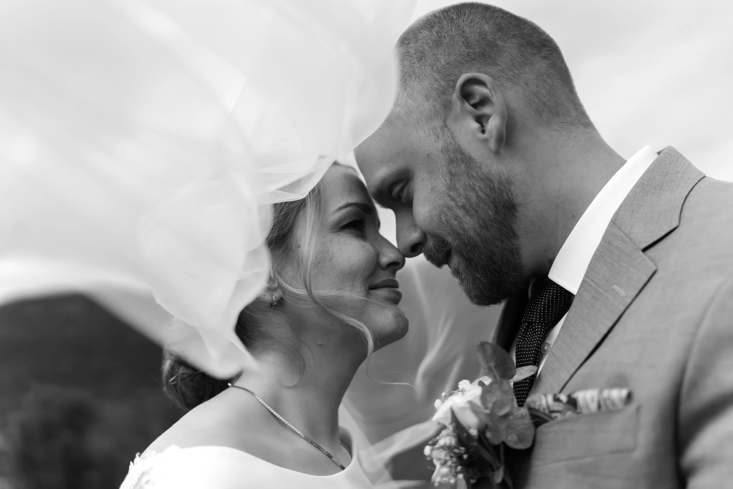 DSC08231-Enhanced-NR copyb.jpg