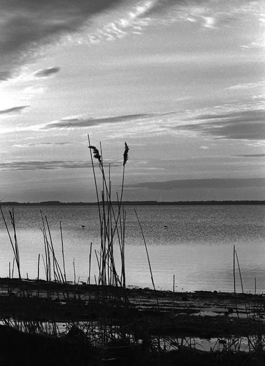 Silver print of our beach-this was my backyard as a kid.