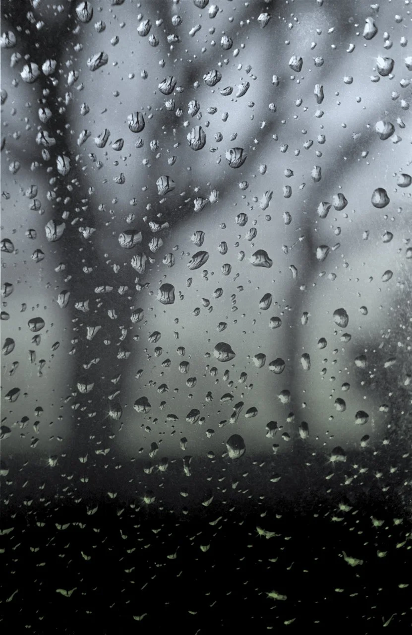 The first print I ever sold to my high school studio art teacher, Mr. Greco. This is a silver print hand tinted.