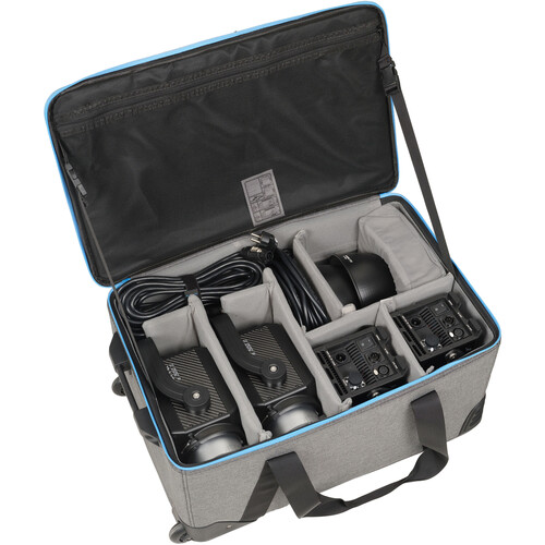 Nanlite Forza 300b ii 2 light kit