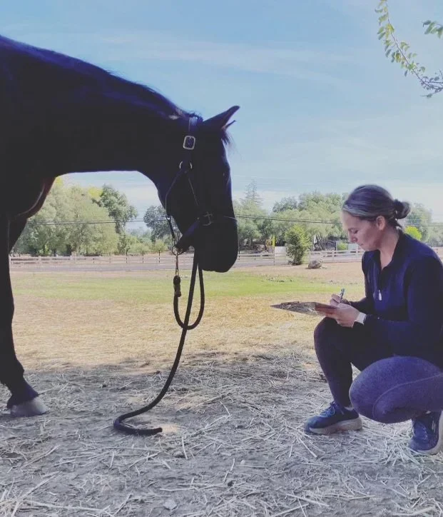 A woman squatting next to a black horse, writing on a clipboard at an outdoor equestrian facility with a fence and trees in the background.