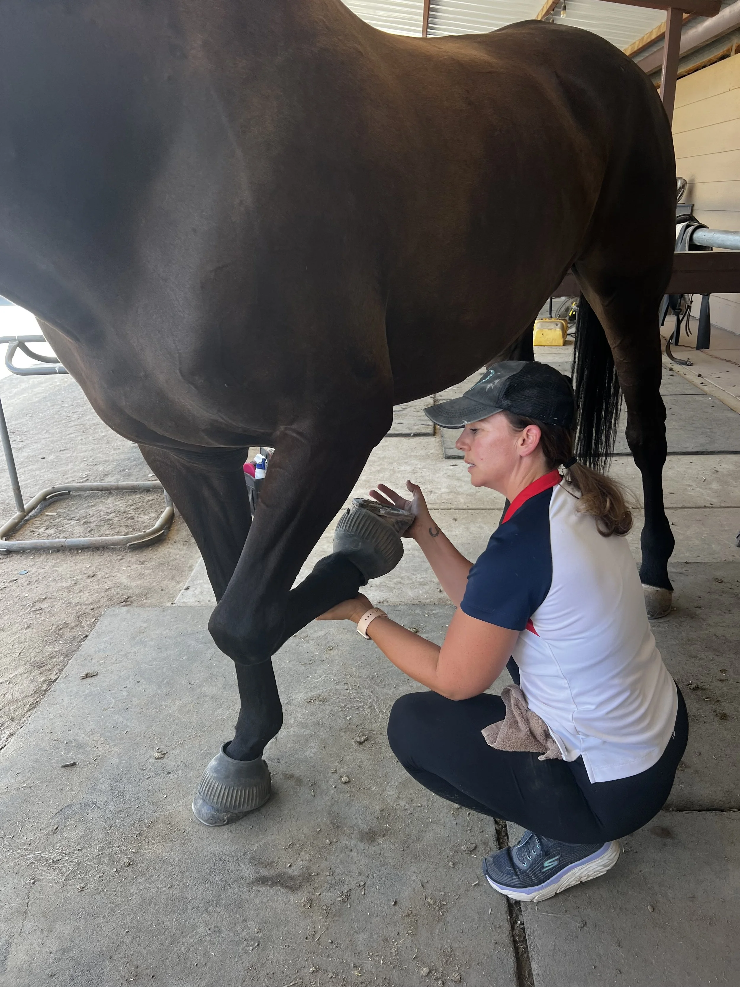 A woman crouching next to a horse, holding its lower leg and hoof while applying a hoof boot in a stable or barn setting.