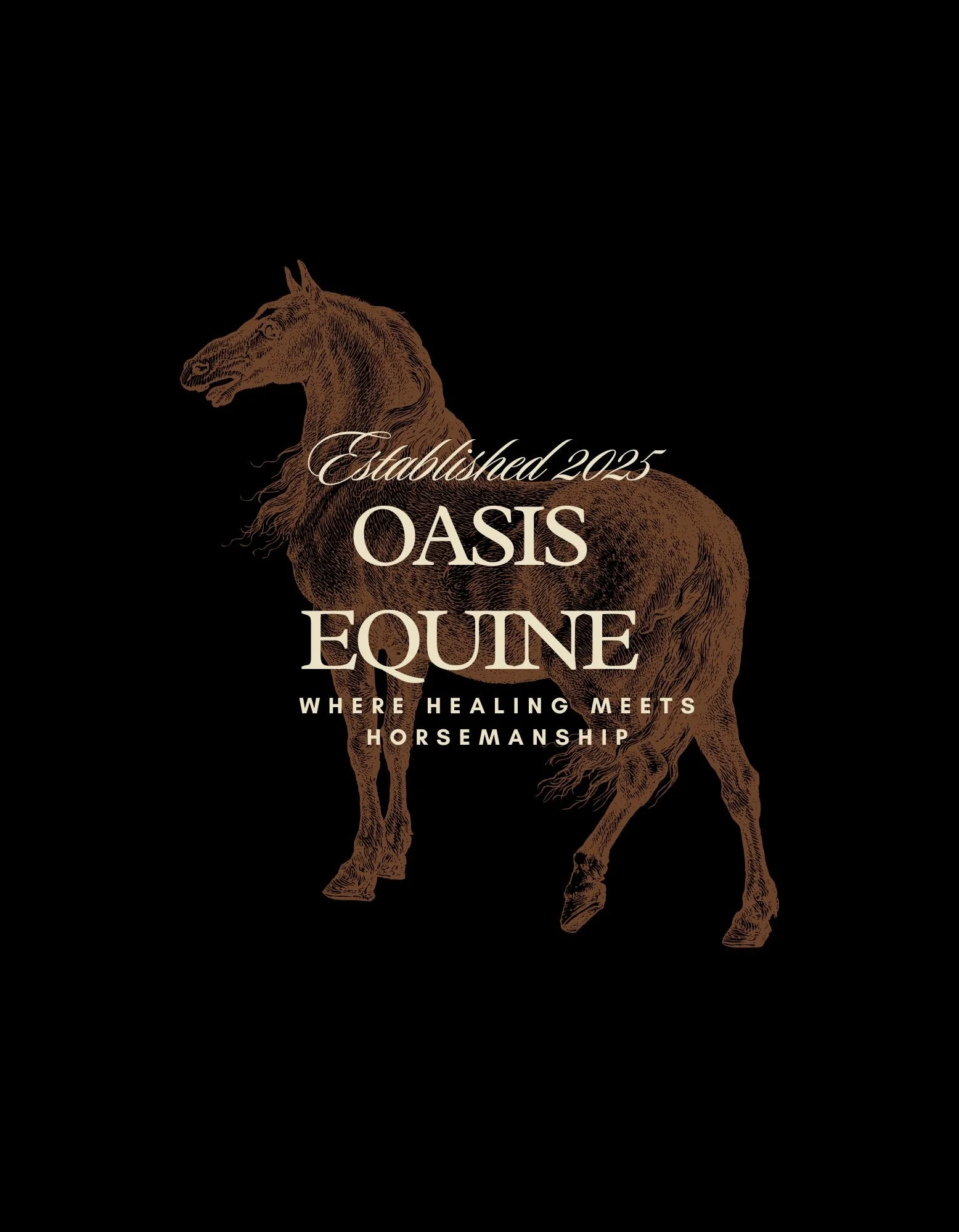 A logo featuring a detailed brown horse illustration with text overlay that reads 'Established 2025 Oasis Equine where healing meets horsemanship'.
