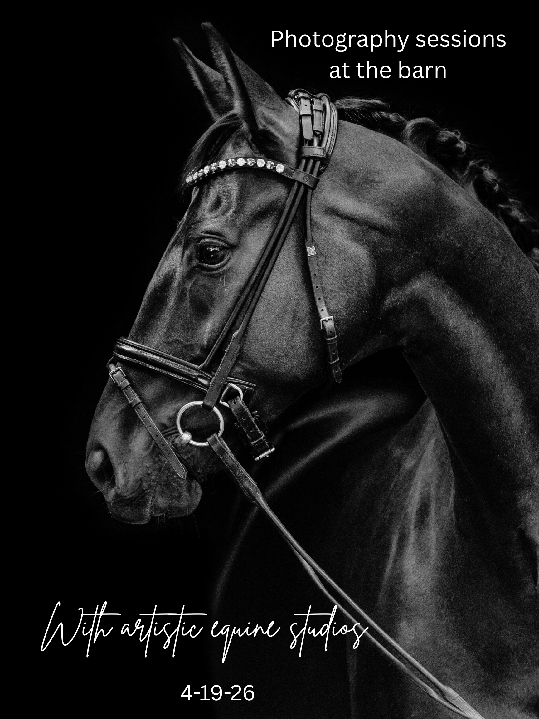 Black and white photograph of a horse with a braided mane, wearing a decorated bridle, against a dark background. Text overlays say 'Photography sessions at the barn' and 'With artistic equine studios 4-19-26.'