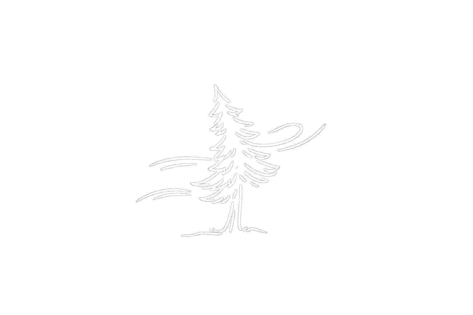 White outline of a pine tree on a black background.