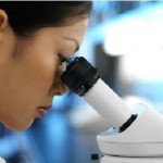 microscopic cells in observation