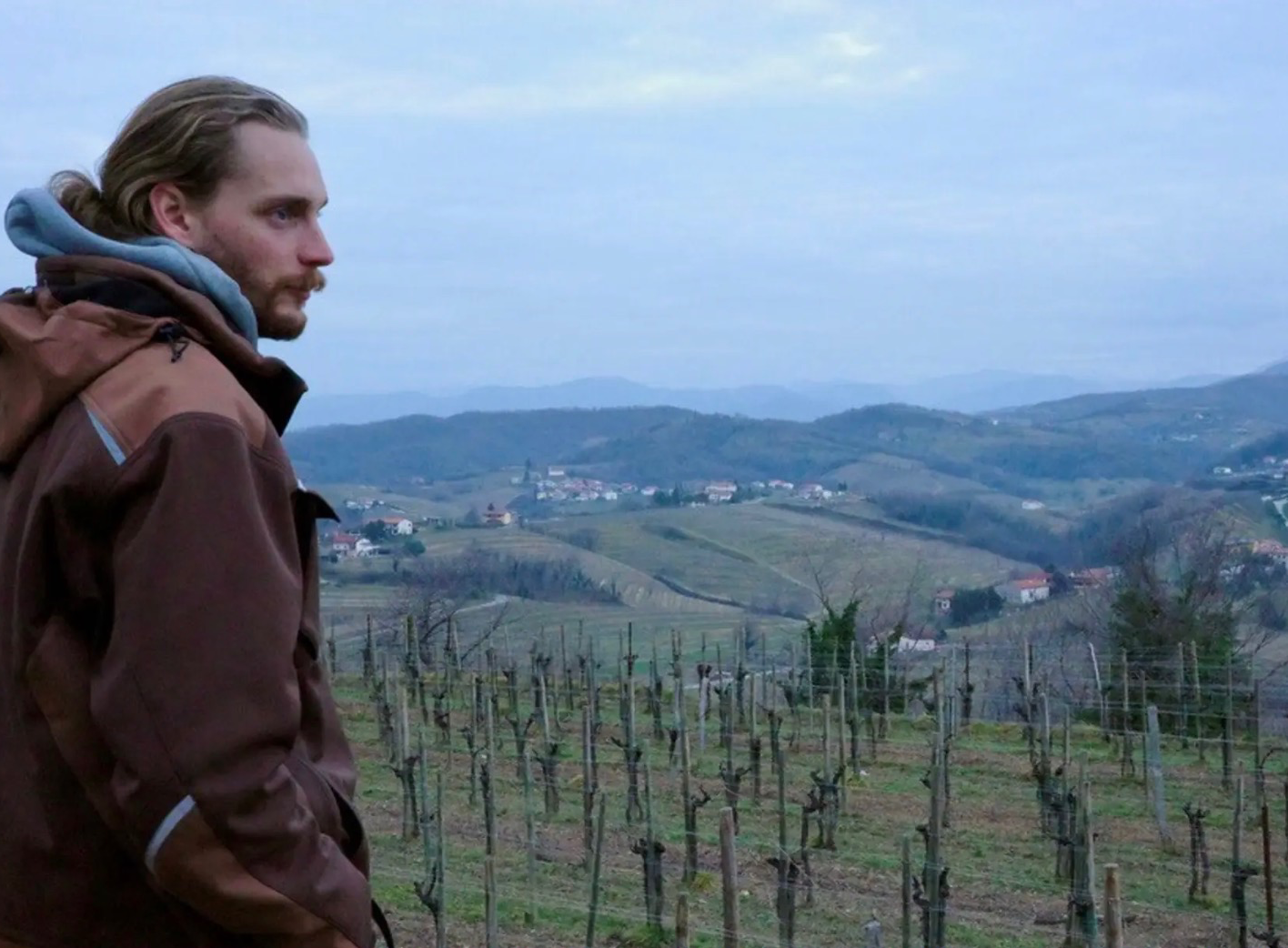 Hills of Brda | Heart of Slovenia