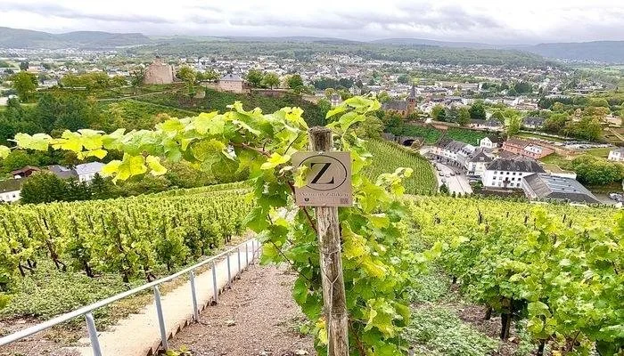 Riesling on the Decks | A German DJ Wine Night