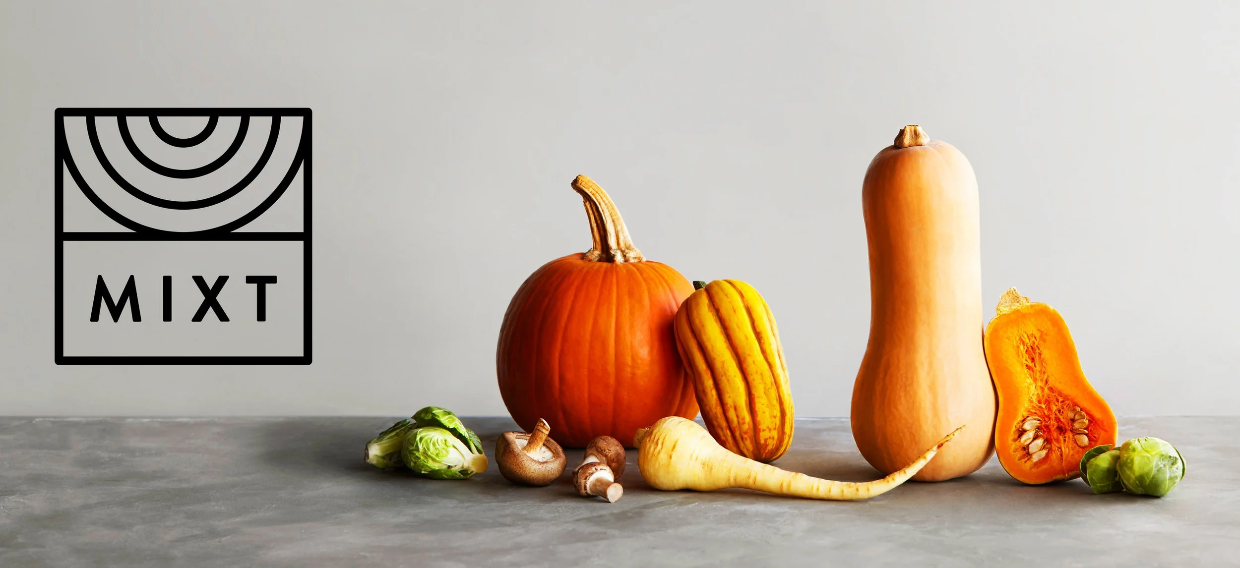 Various pumpkins and gourds on a concrete surface in front of a plain gray wall.
