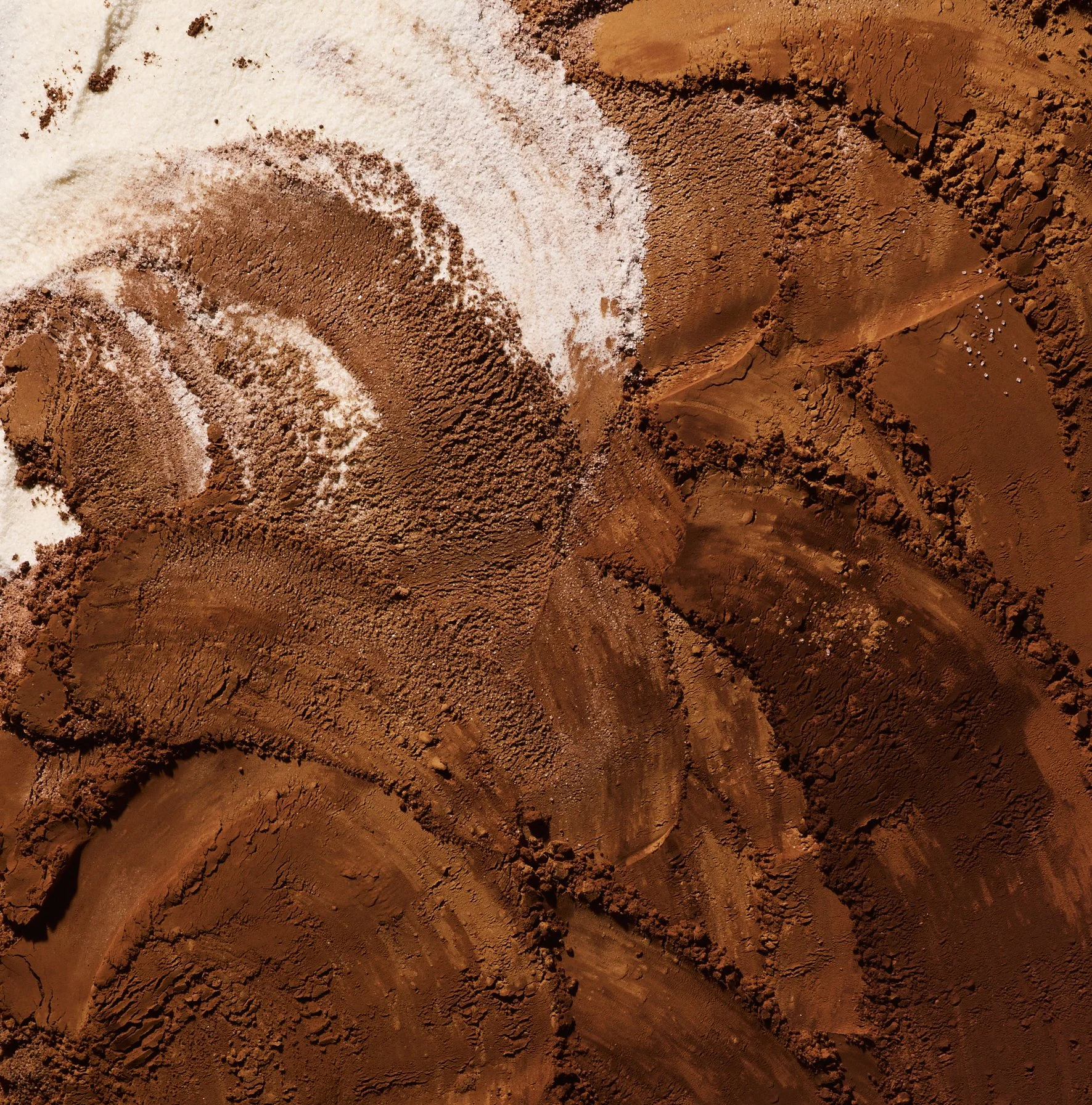 052614_GhiradelliCookbook_NonRecipe_CocoaPowder_19409_alt.jpg
