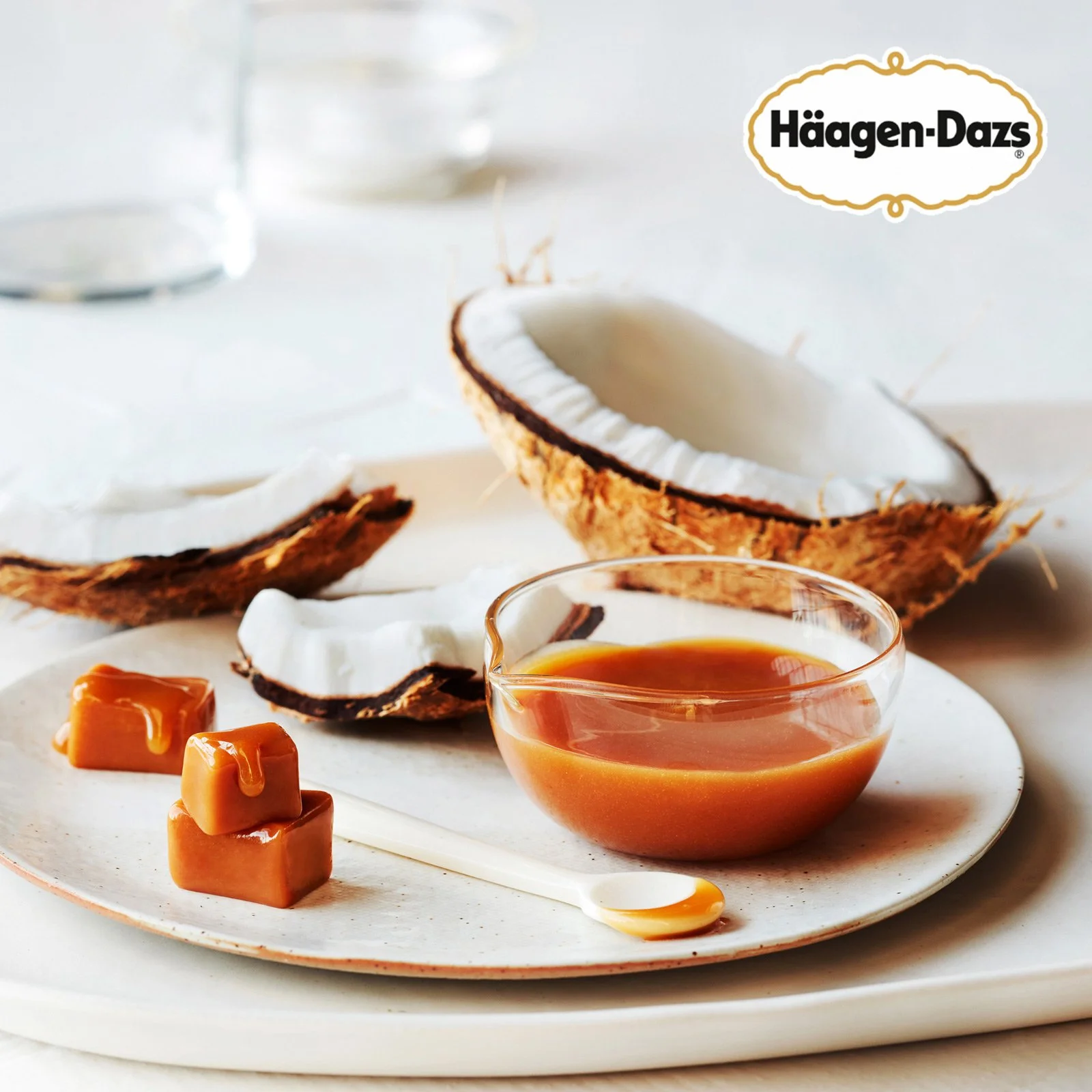 HD_NDCoconutCaramel_logo_web_contrast3.jpg
