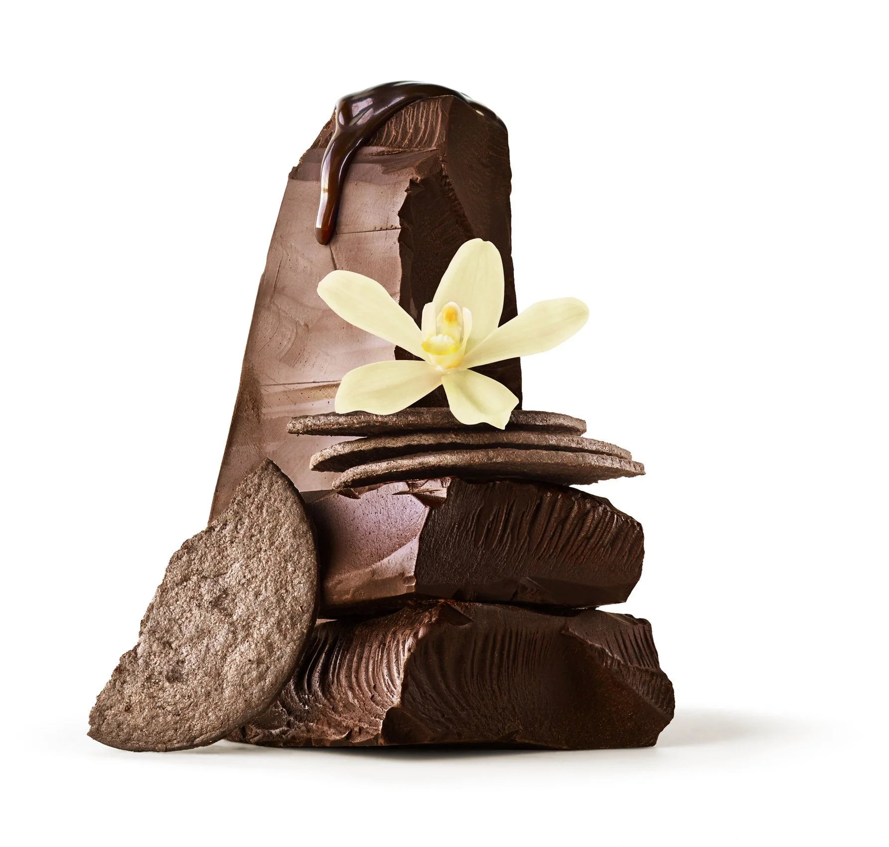 DarkChocCookiePizzelle_web_contrast3.jpg