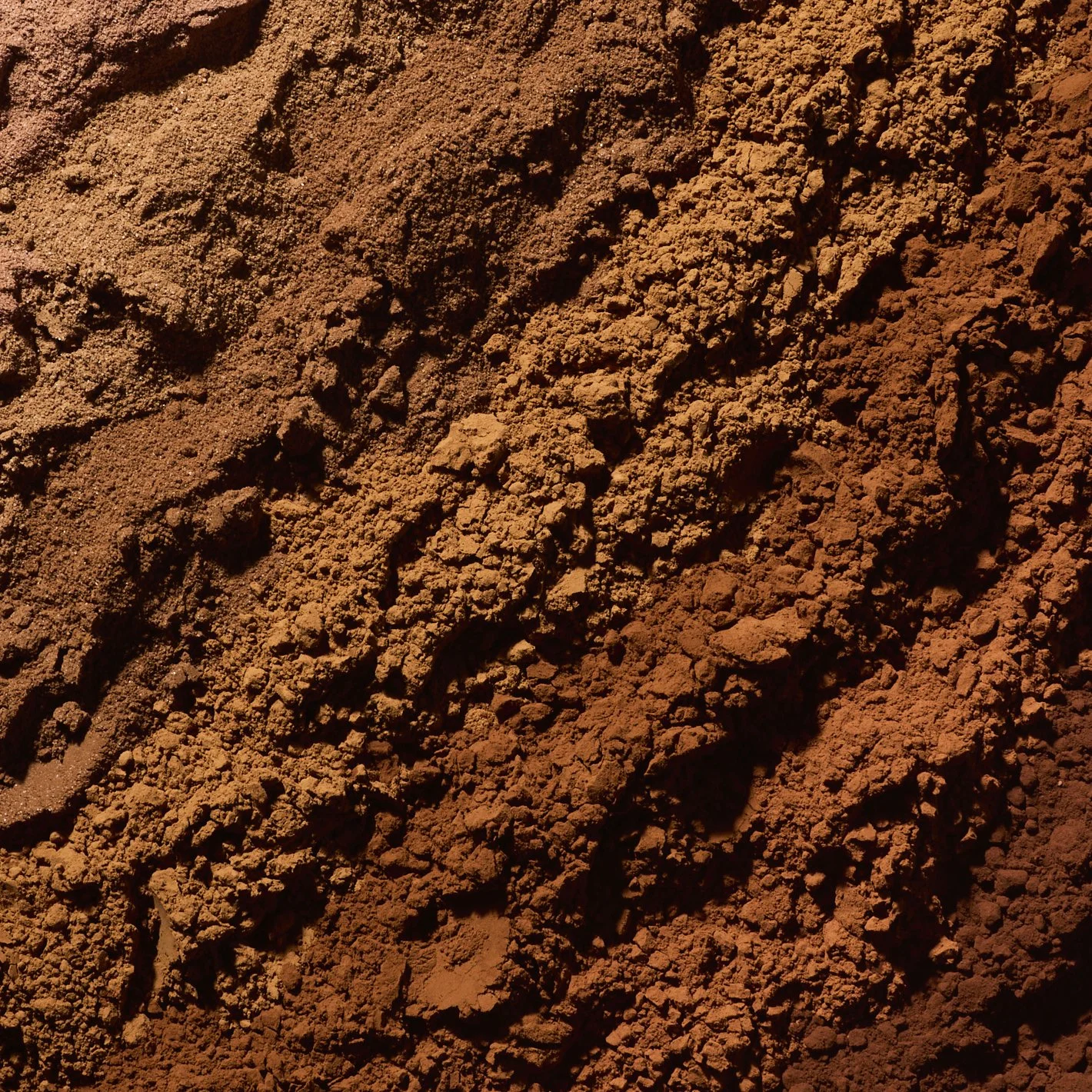 052614_GhiradelliCookbook_NonRecipe_CocoaPowder_19402_x.jpg