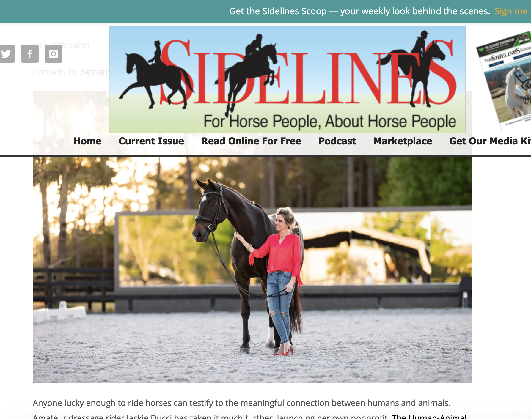 A woman in a red top and ripped jeans standing next to a black horse in an outdoor riding arena during sunset.