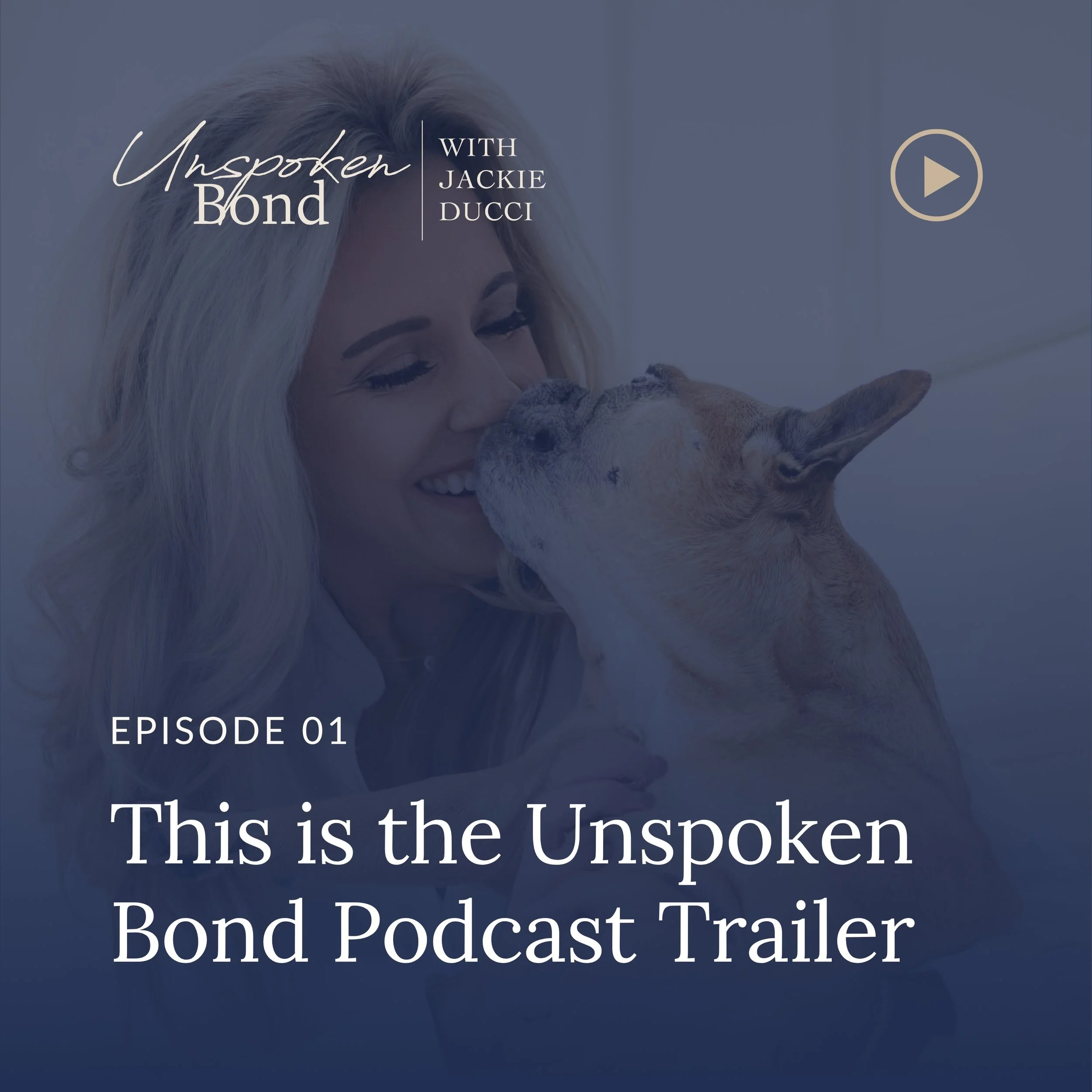 Podcast Hero