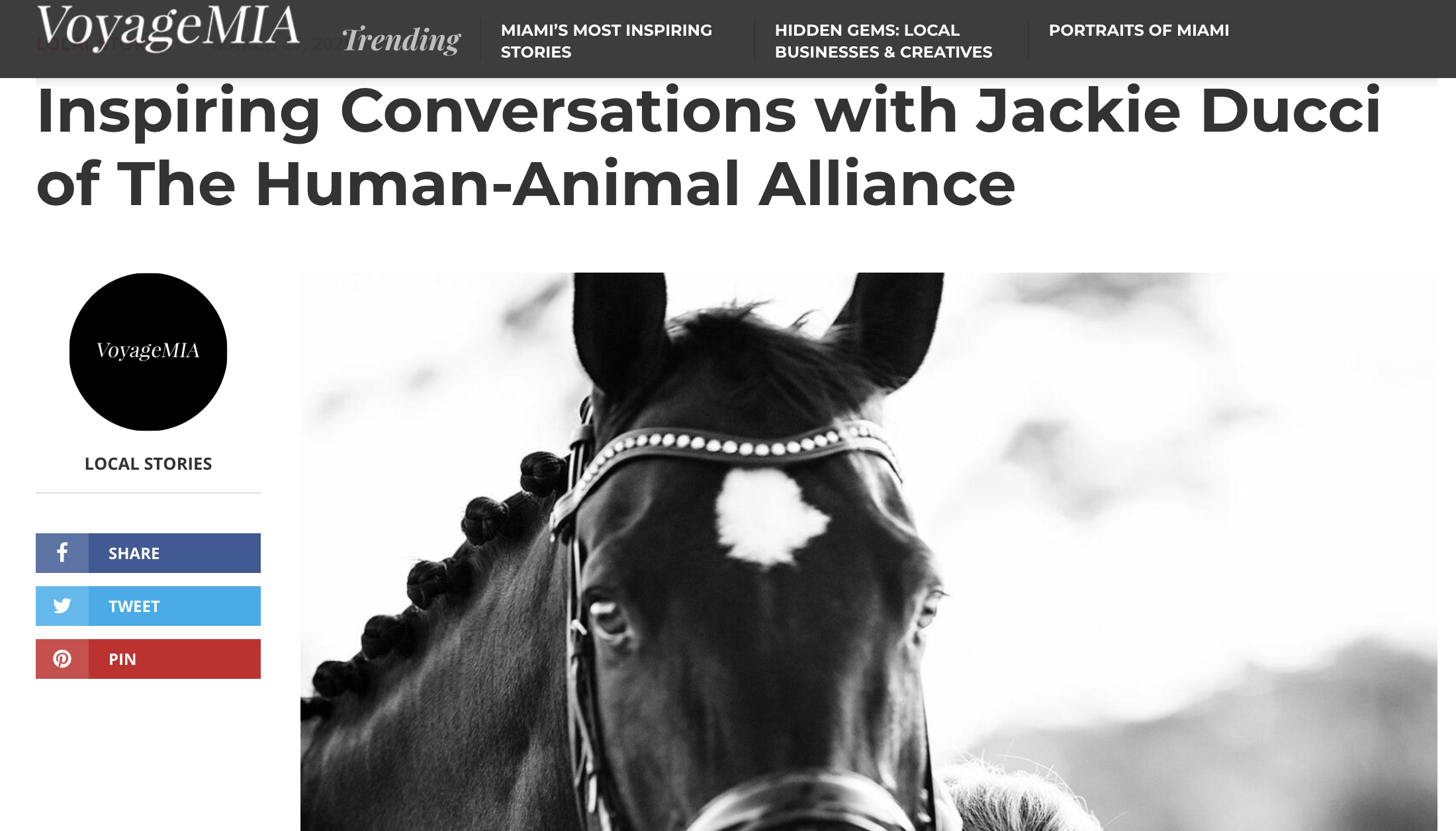 Black and white photo of a horse's face with a white star-shaped marking on its forehead, wearing a bridle with decorative beads.