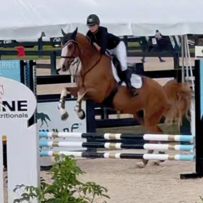 Equestrian rider and horse jumping over obstacle in show jumping competition.
