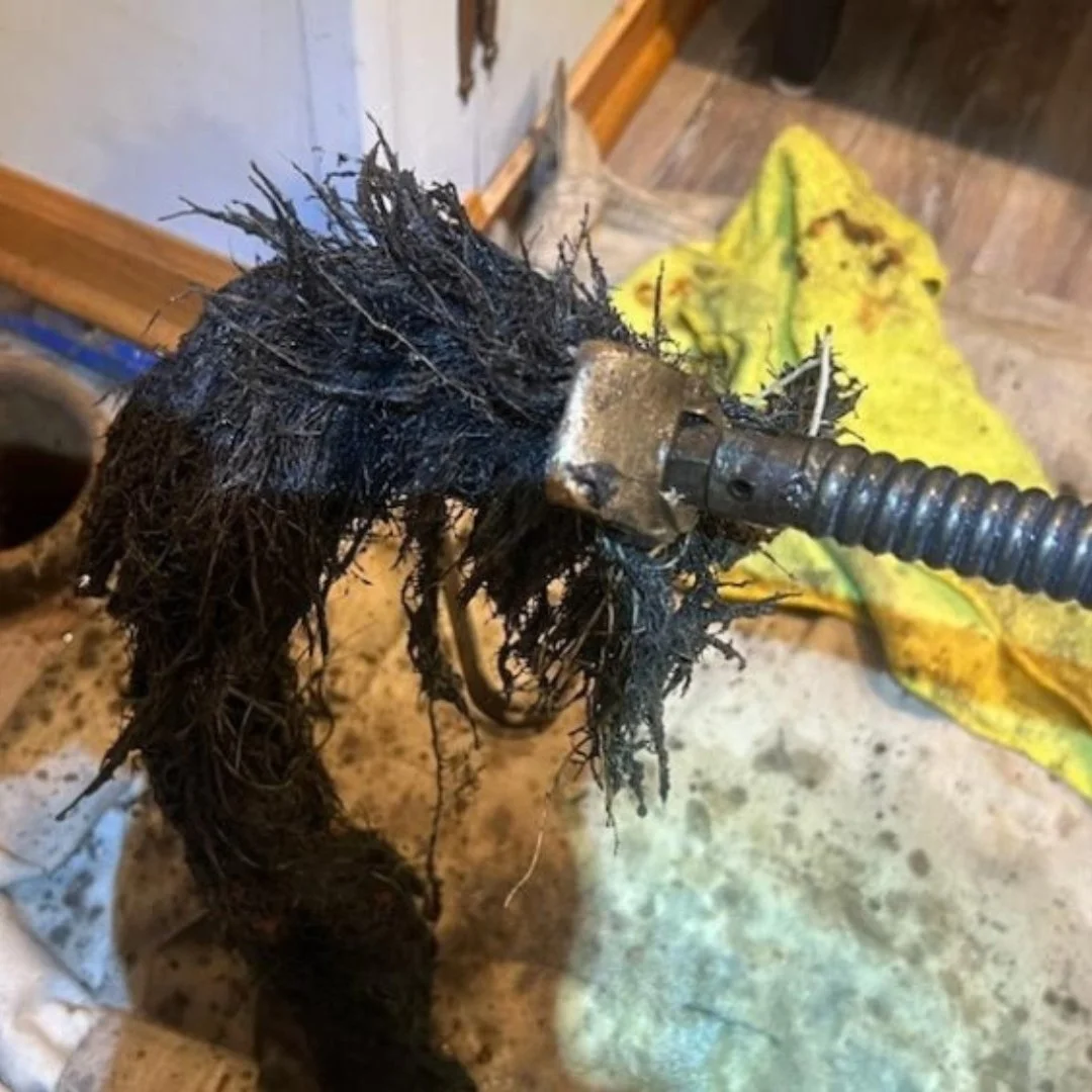 Material removed from an older clogged drain line in Bloomington by Hiawatha Sewer Service