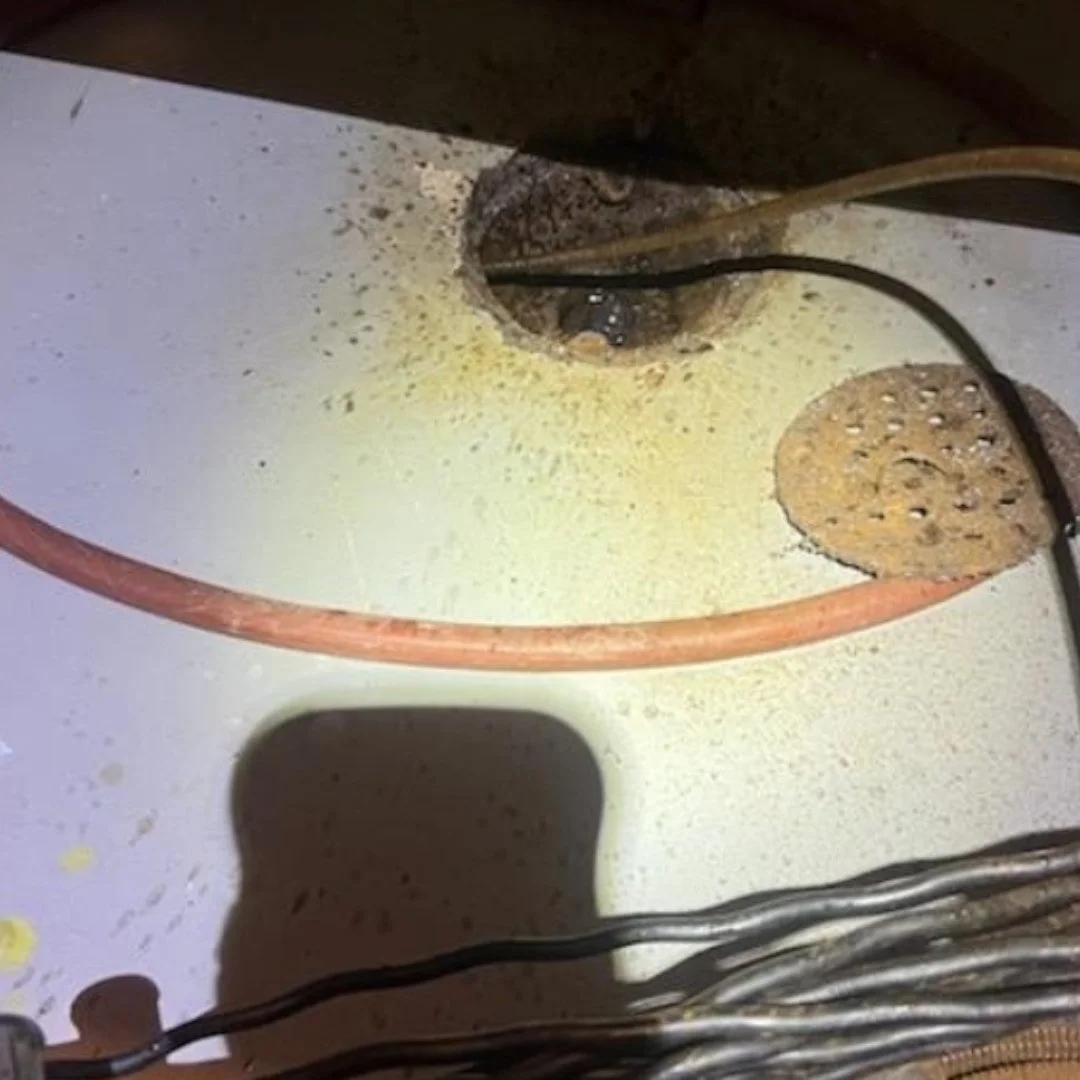 Drain-cleaning equipment positioned at a floor drain during a Bloomington service call