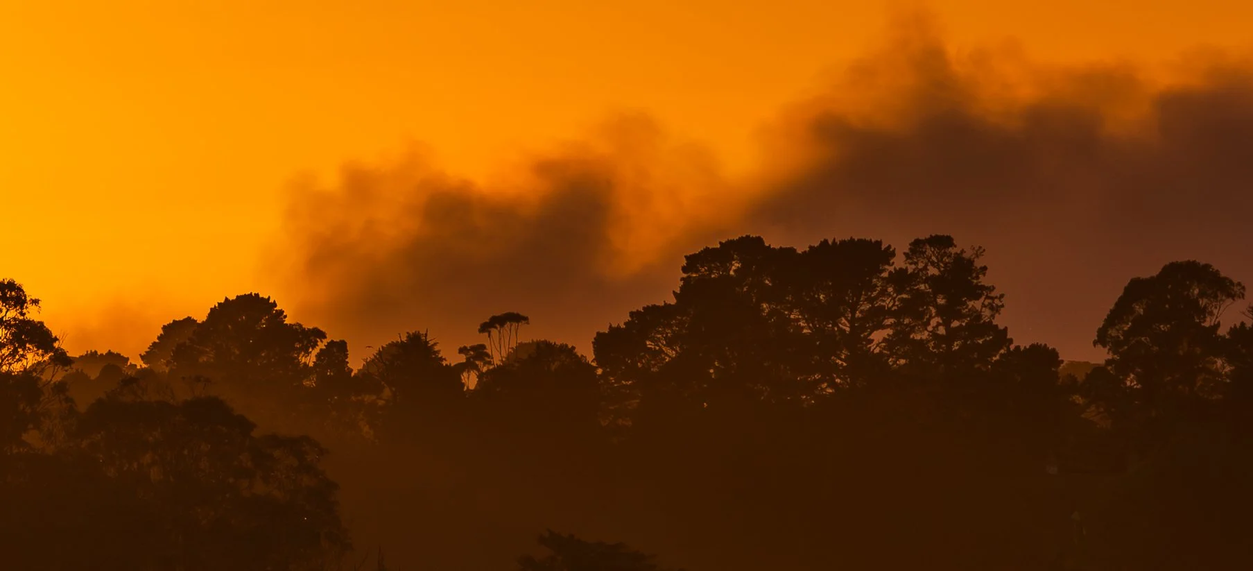 Sunset over a forest with dark silhouettes of trees and orange sky with clouds.