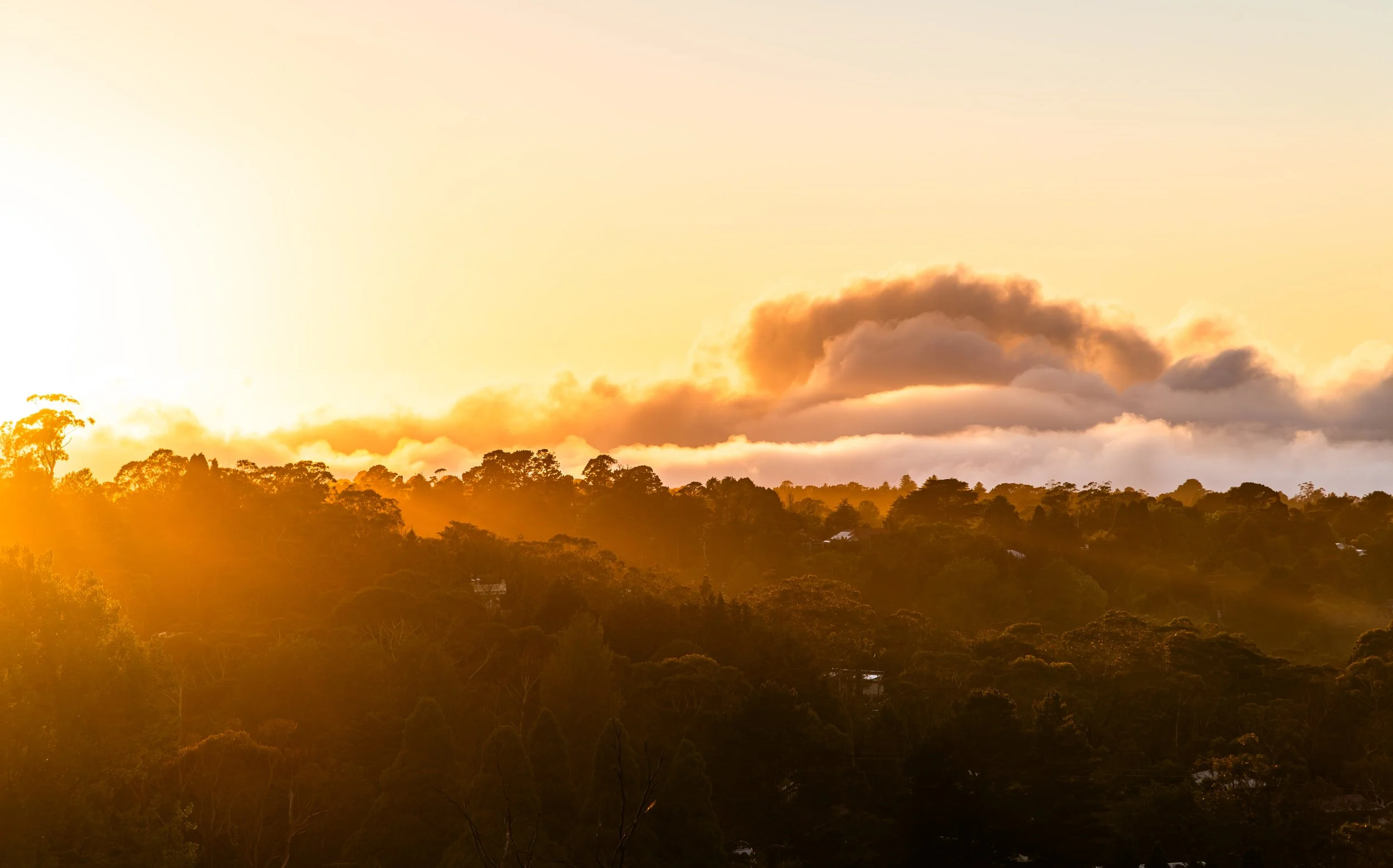 Sunset over a forested landscape with clouds in the sky.