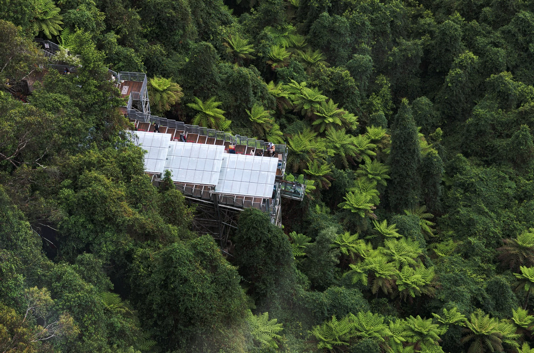 A glass-bottom viewing platform with railings extends over a dense green rainforest canopy.