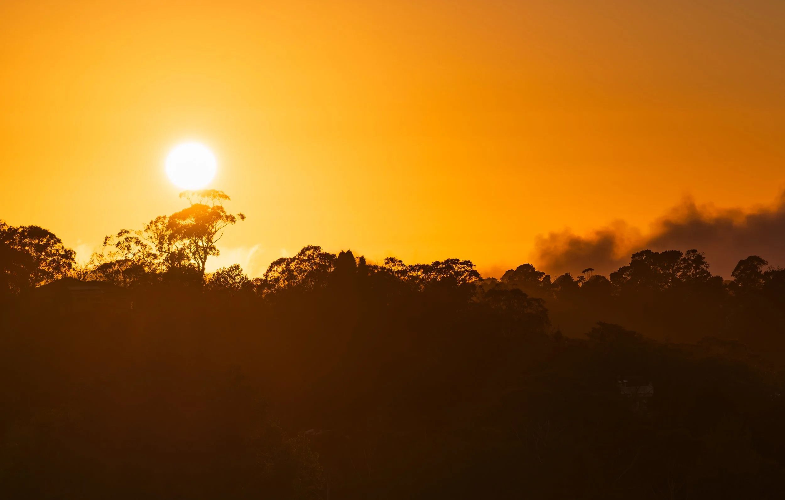 Sunset or sunrise over a silhouette of trees and a small building in the foreground.
