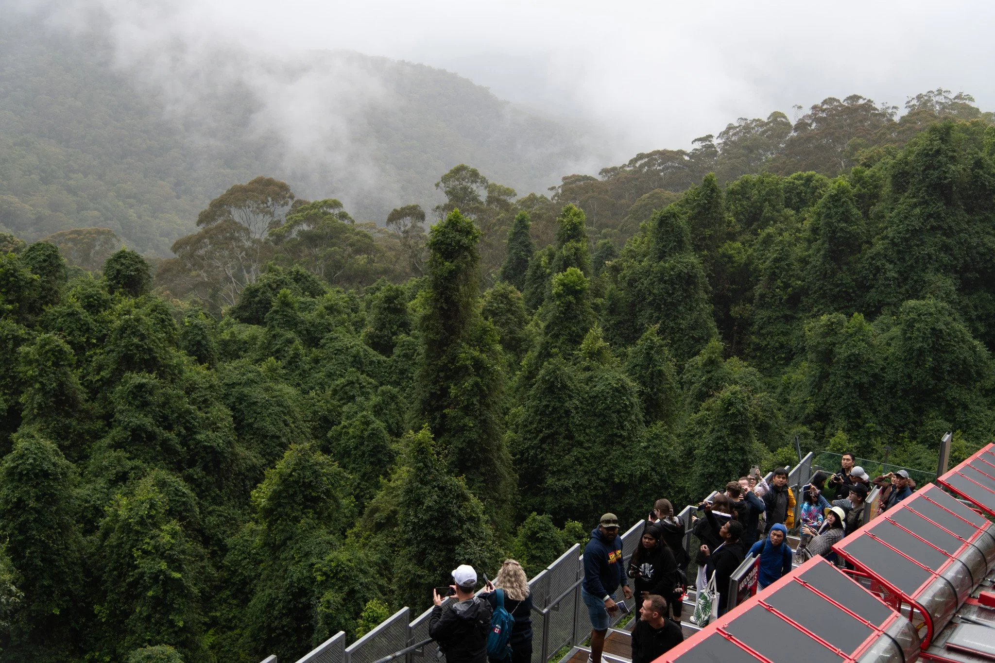 Tourists on a viewing platform overlooking a lush green rainforest with misty mountains in the background.
