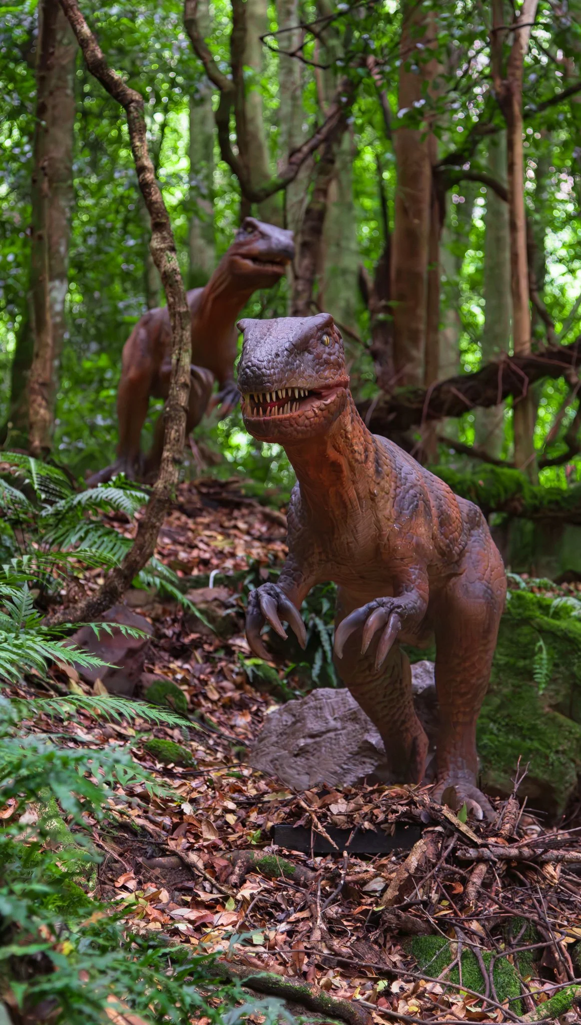 Two dinosaur statues, one T-Rex in the foreground and another smaller, theropod dinosaur in the background, situated in a dense forest with lush green foliage and fallen leaves on the ground.