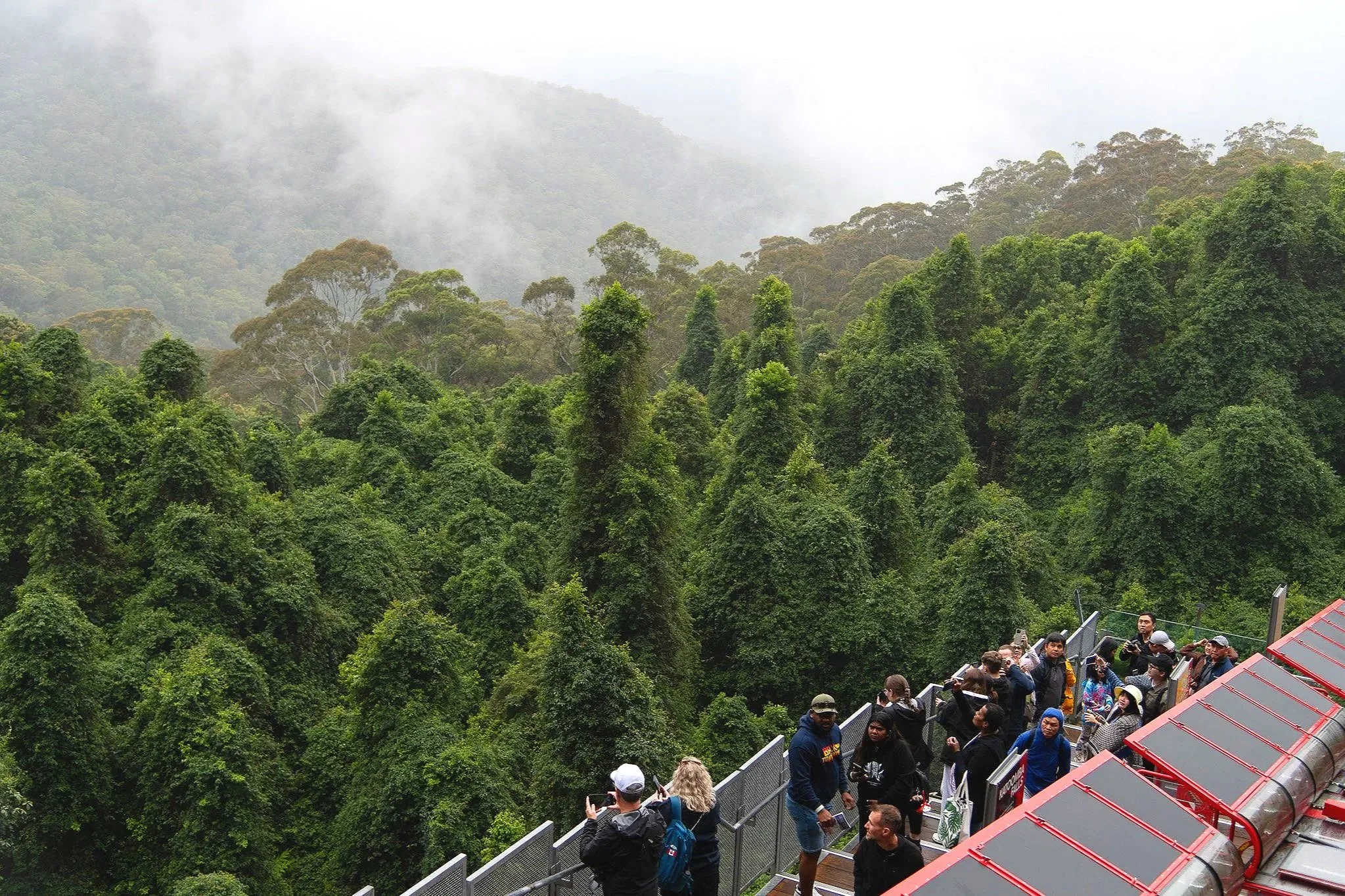 Tourists on a glass observation platform overlooking a lush, green forested mountain landscape with clouds and mist in the background.