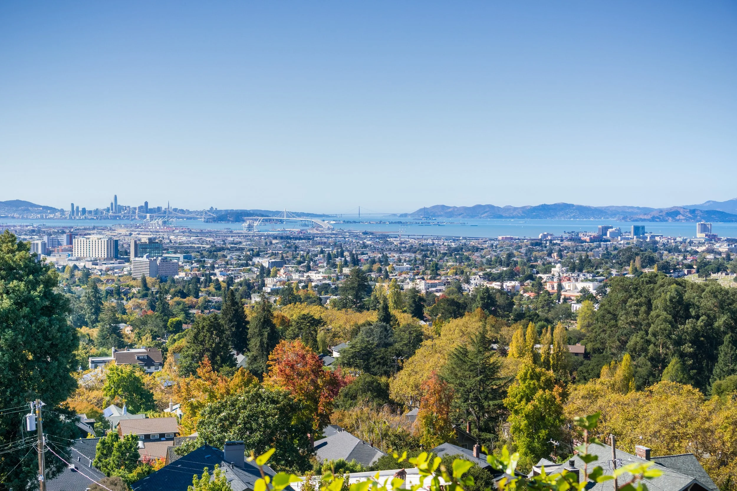 A panoramic view of San Francisco from a hill, featuring trees and residential houses in the foreground, city buildings in the middle, and the bay with the Golden Gate Bridge and distant mountains in the background under a clear blue sky.
