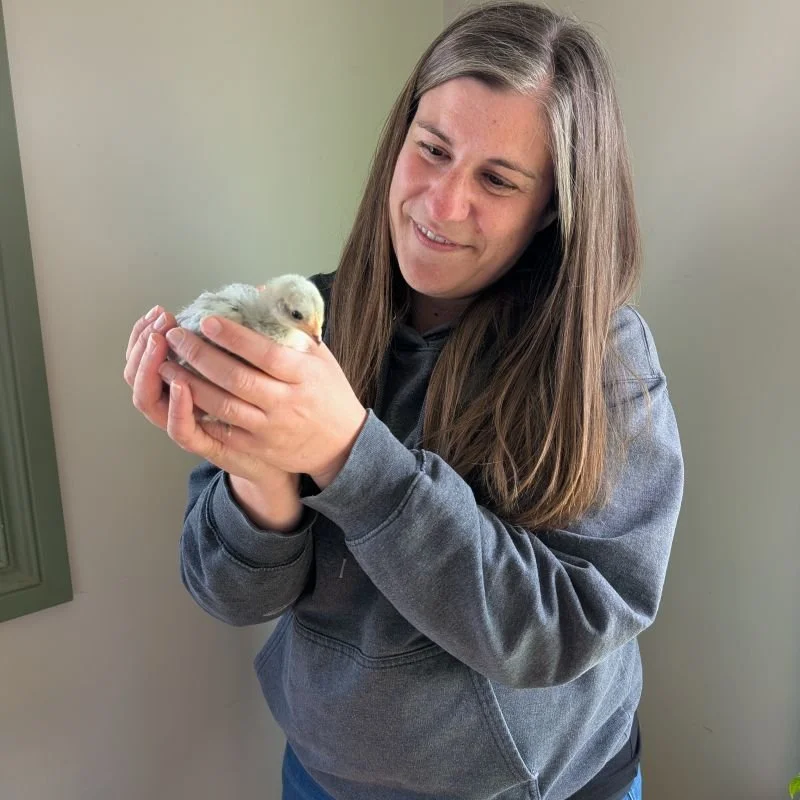 A woman holding a small duckling gently in her hands indoors.
