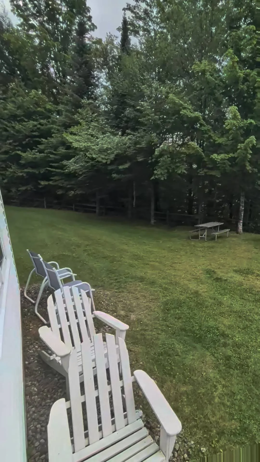 Falcons 3 Back Yard