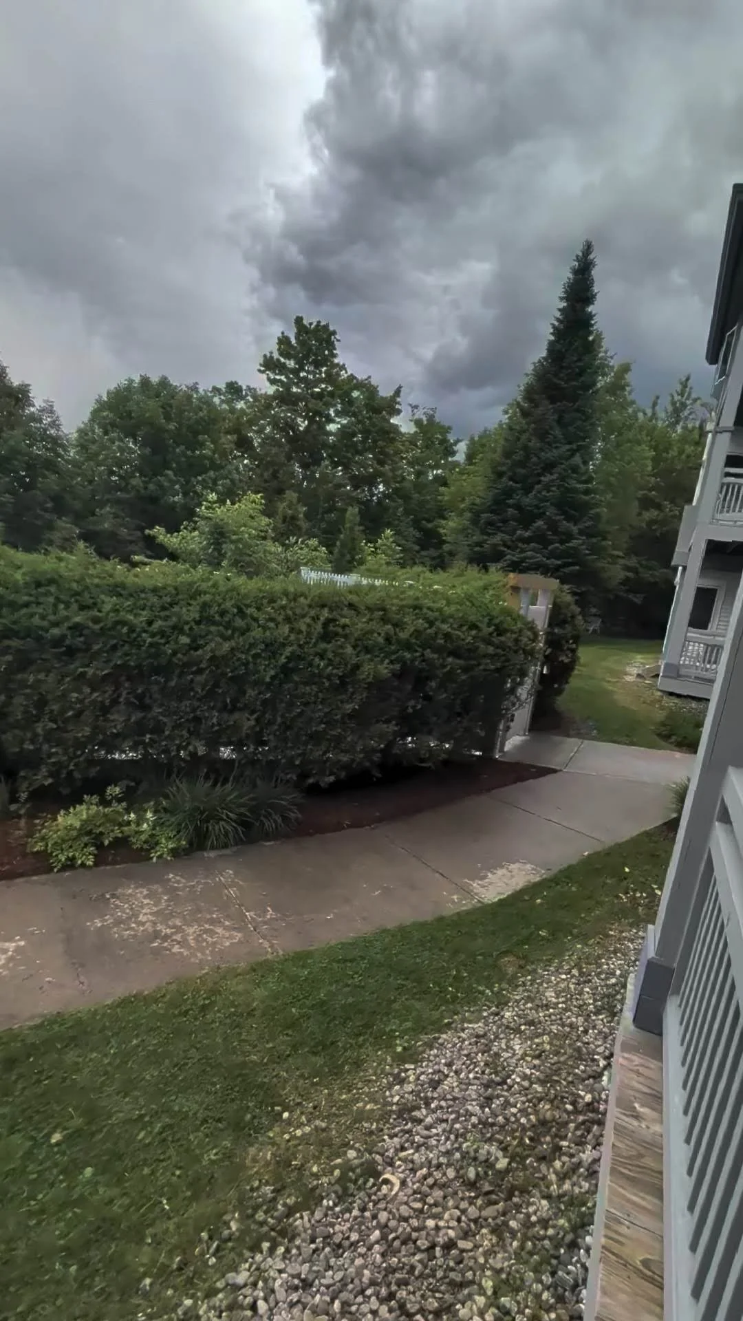 Falcons 3 Back Yard