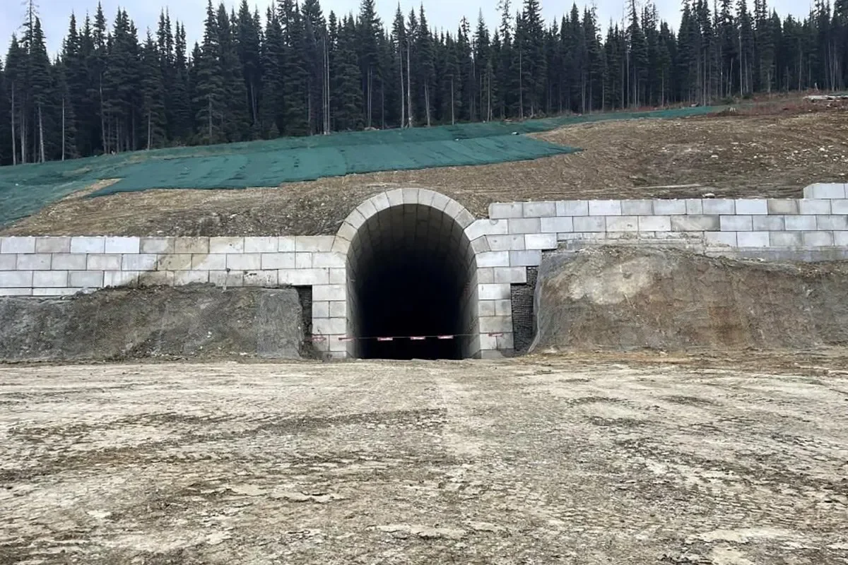 Barkerville Gold Mine