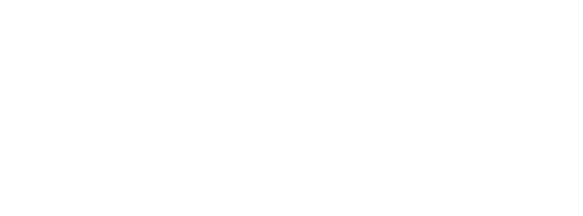 Logo of EAVision with a stylized eagle and text.
