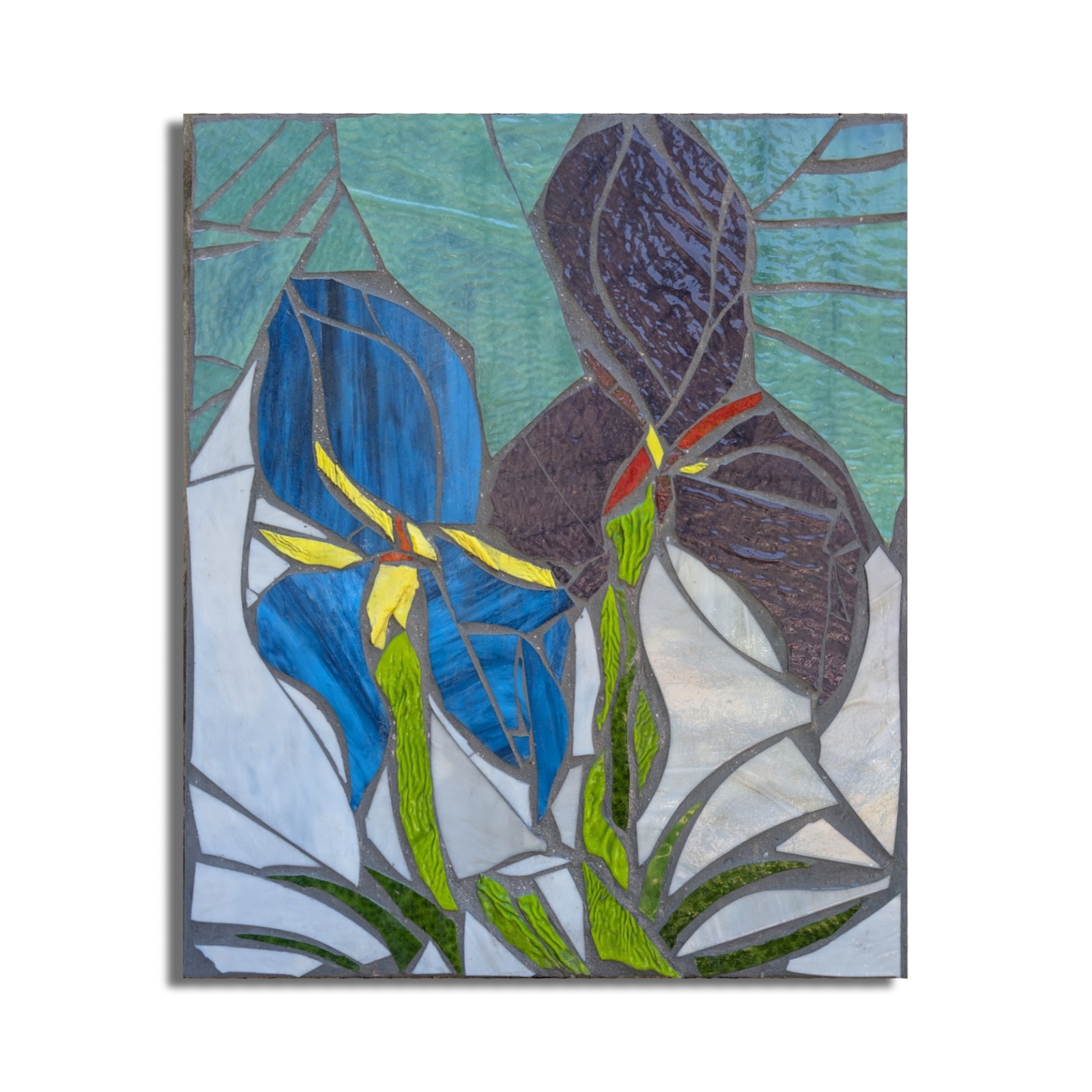 Wild Irises