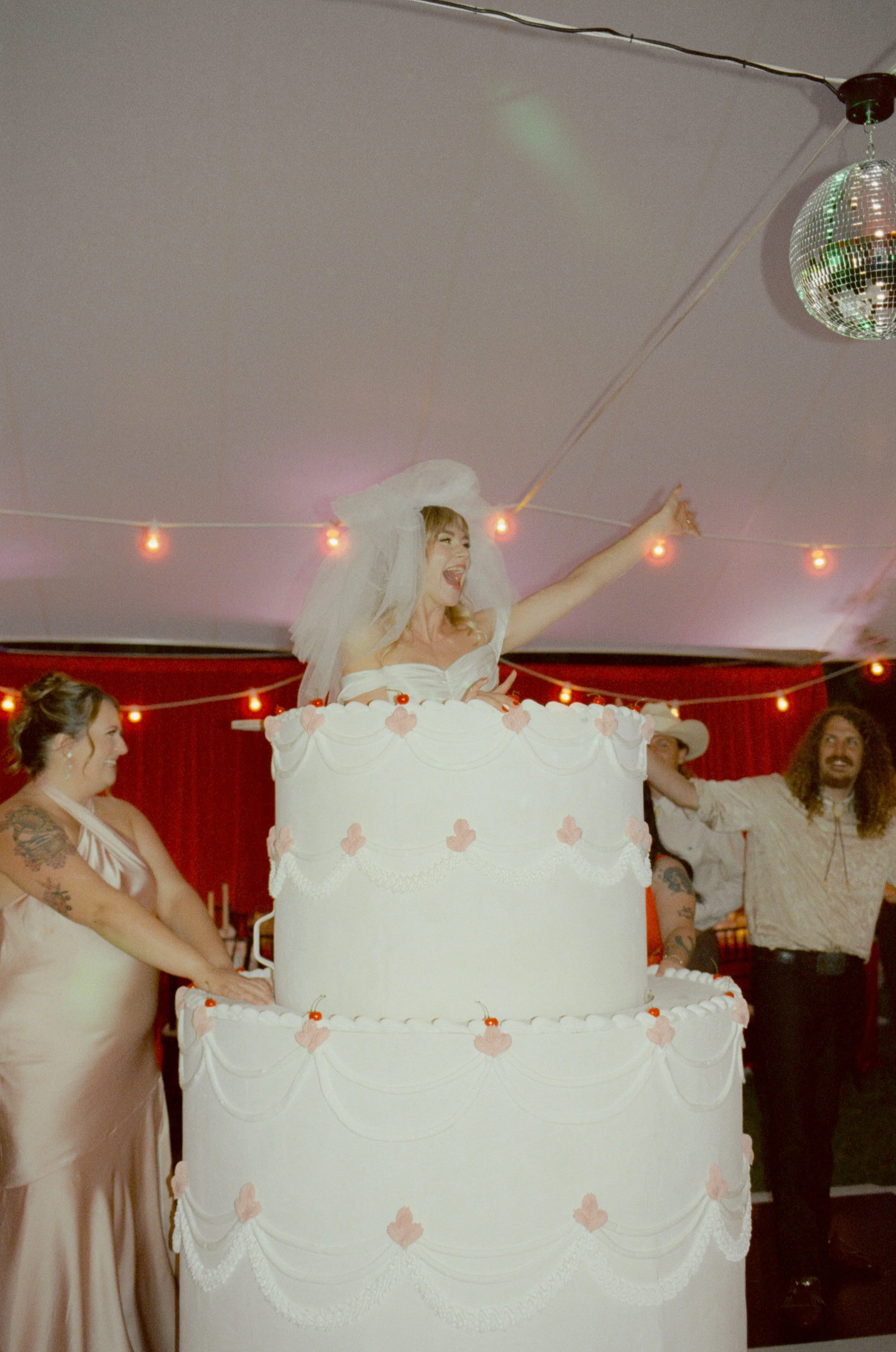 wedding-celebration-cake.jpg